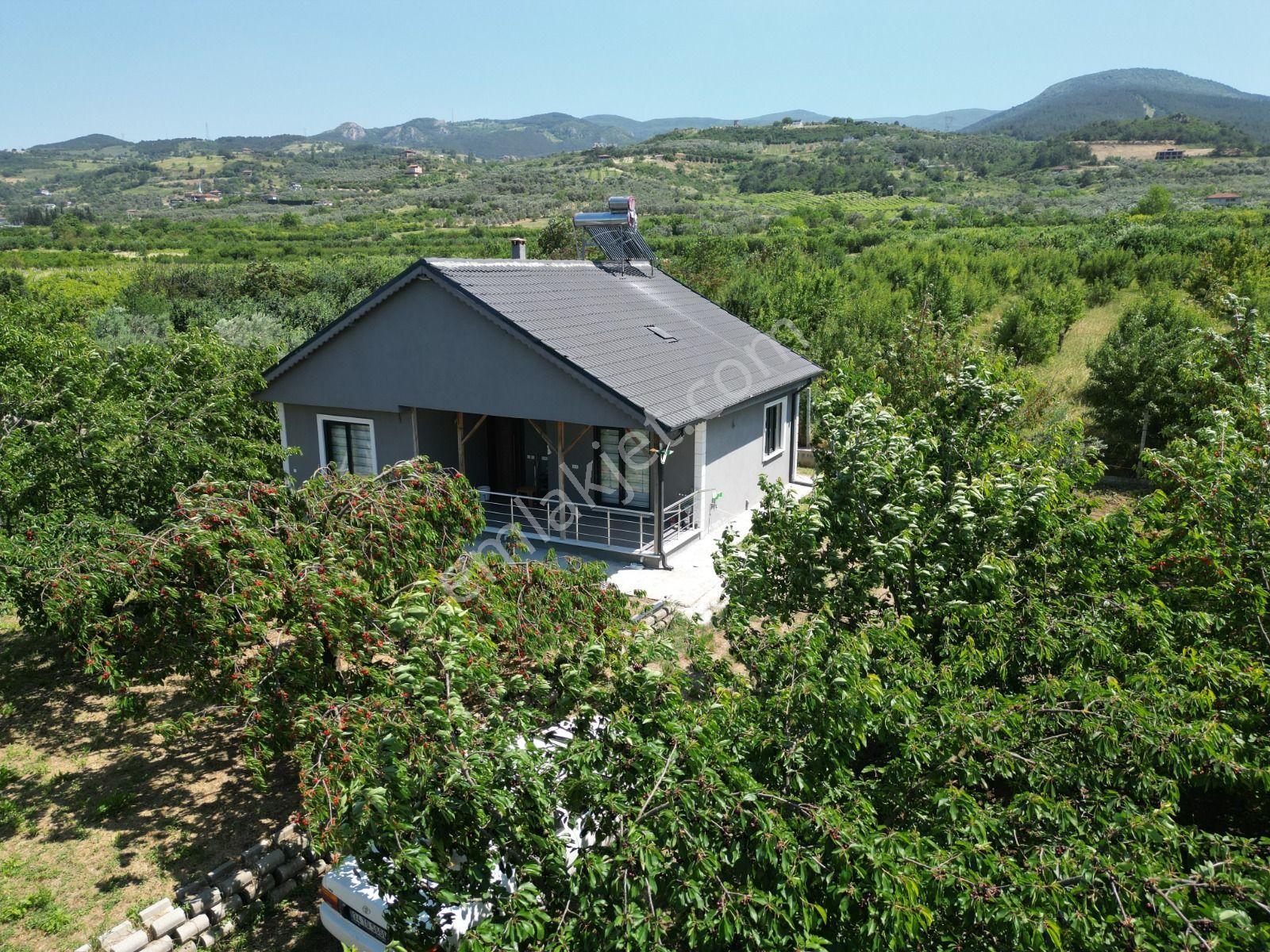 Acil Satılık - 1.867 M² Meyve Bahçesi - Full Eşyalı Müstakil Ev