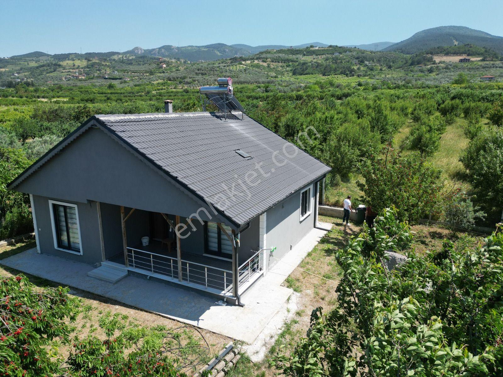 Acil Satılık - 1.867 M² Meyve Bahçesi - Full Eşyalı Müstakil Ev - Görsel 3