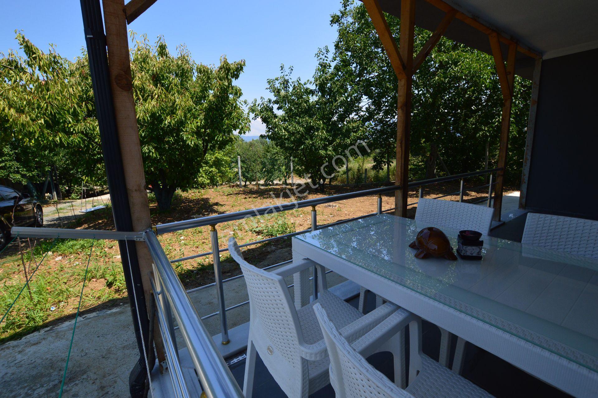 Acil Satılık - 1.867 M² Meyve Bahçesi - Full Eşyalı Müstakil Ev - Görsel 25