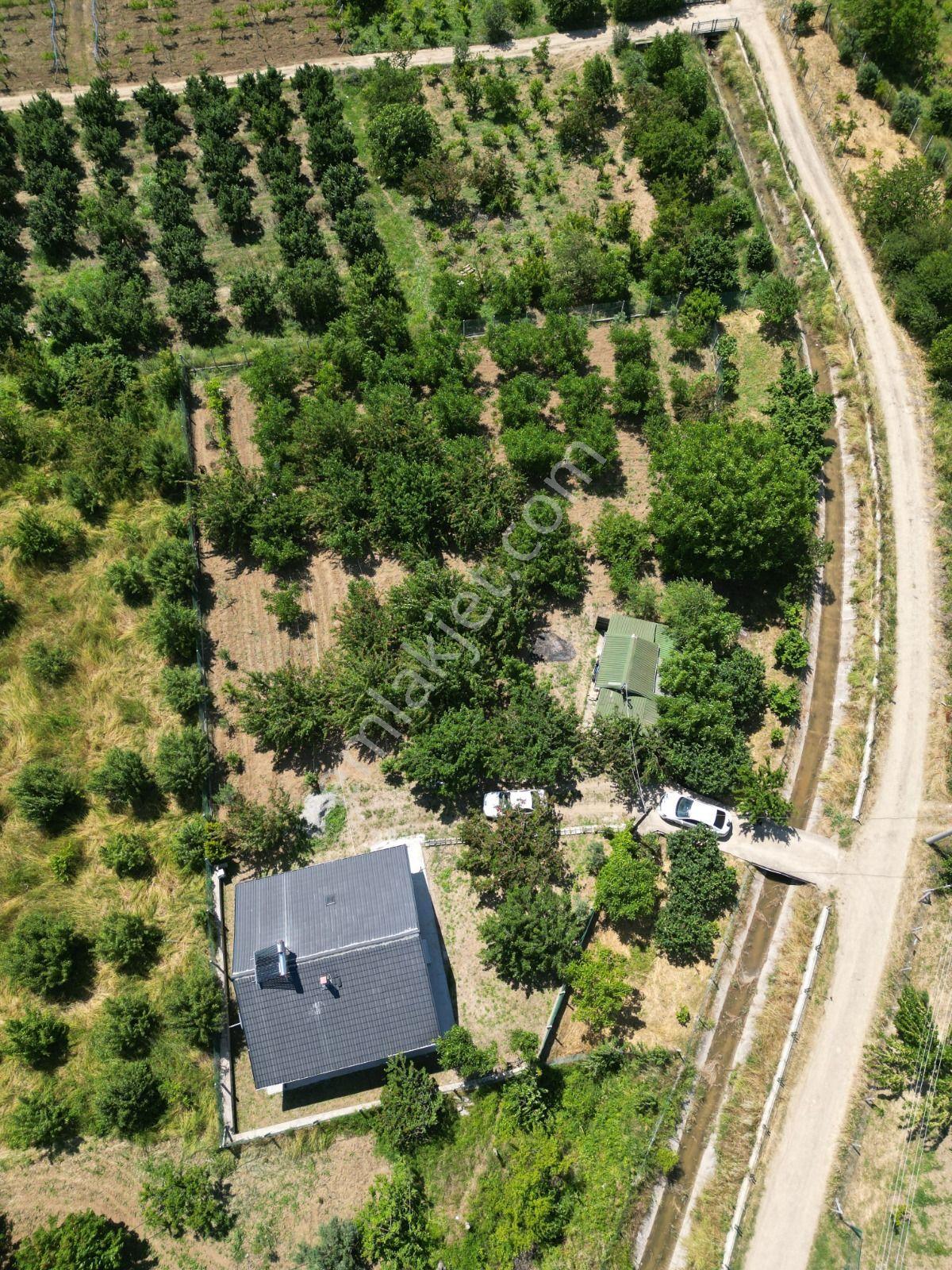 Acil Satılık - 1.867 M² Meyve Bahçesi - Full Eşyalı Müstakil Ev - Görsel 8