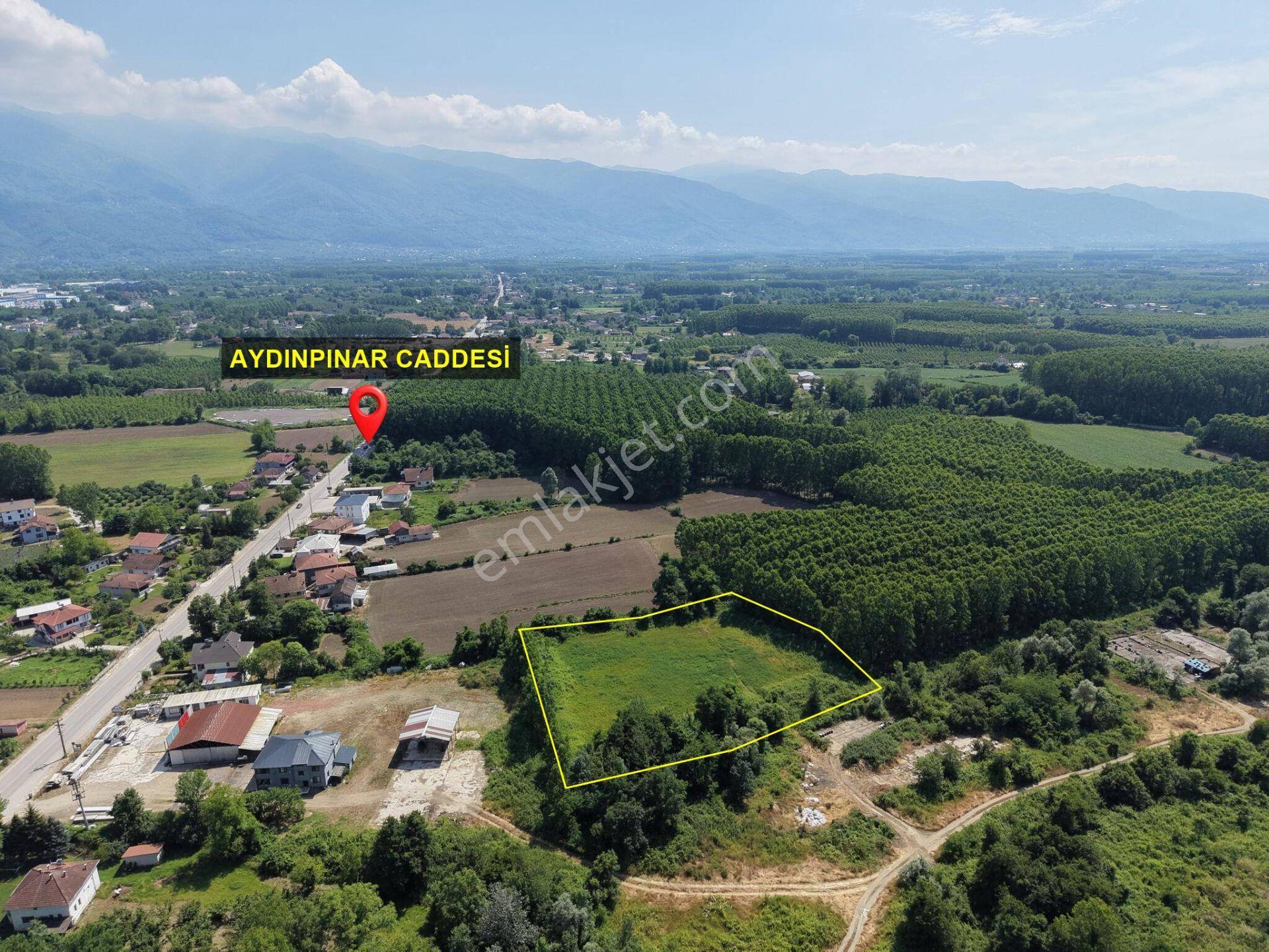 Nv Gayrimenkul | Küçük Mehmetler'de 5.857 M2 Satılık Arazi - Görsel 5
