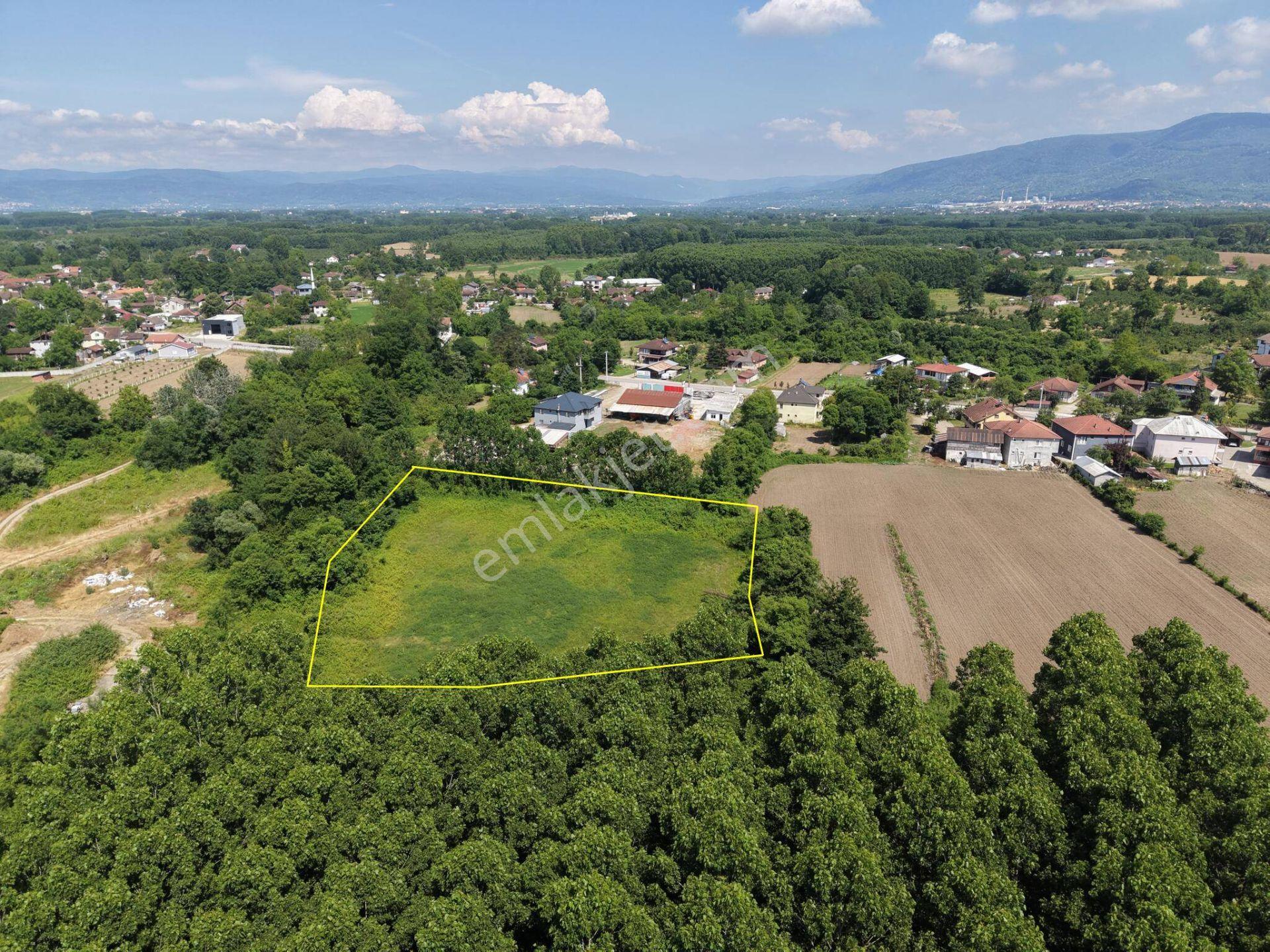 Nv Gayrimenkul | Küçük Mehmetler'de 5.857 M2 Satılık Arazi - Görsel 3