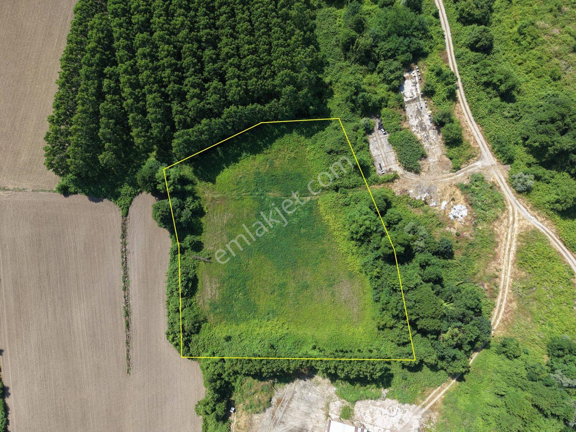 Nv Gayrimenkul | Küçük Mehmetler'de 5.857 M2 Satılık Arazi - Görsel 8