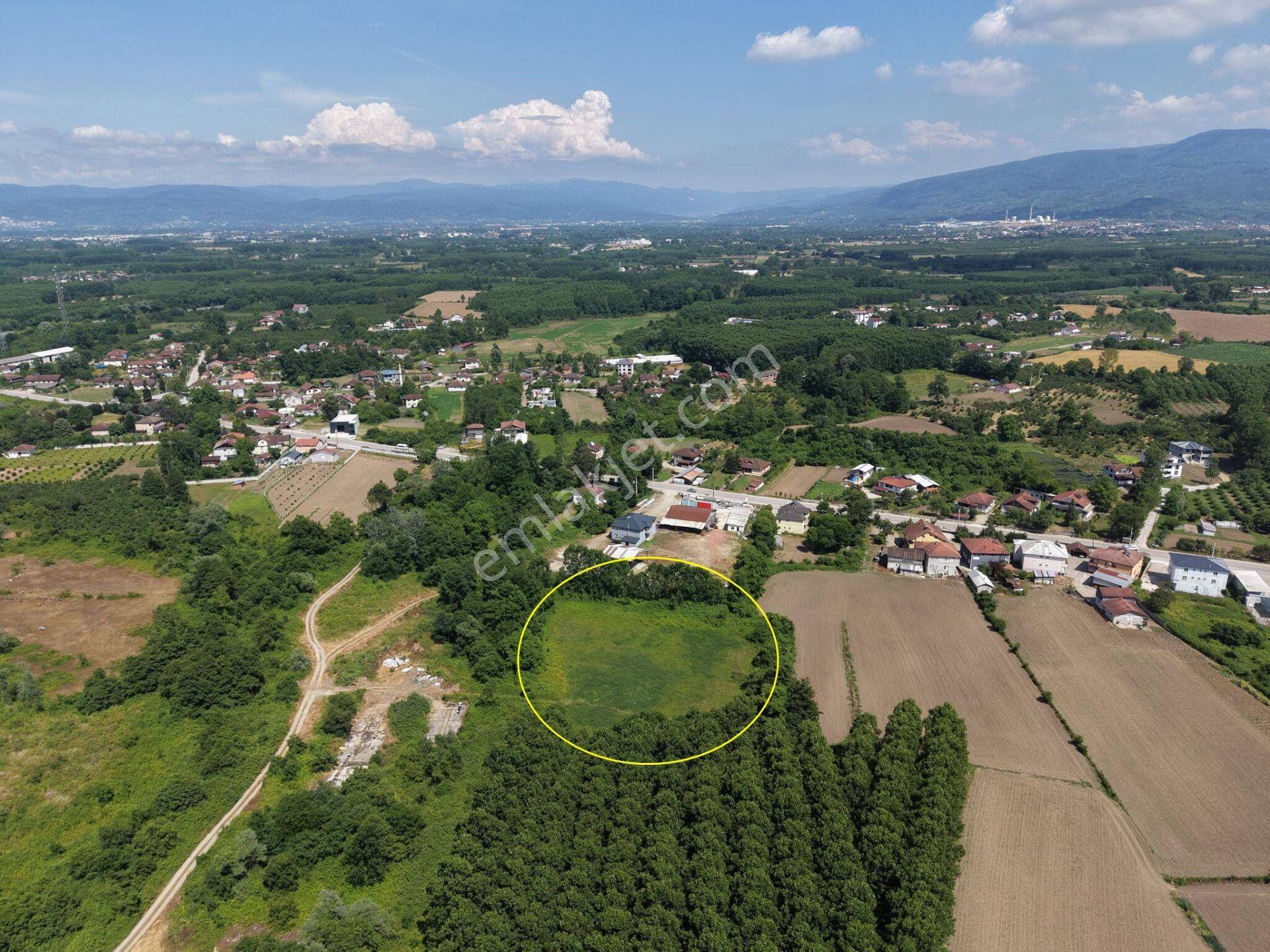 Nv Gayrimenkul | Küçük Mehmetler'de 5.857 M2 Satılık Arazi - Görsel 4
