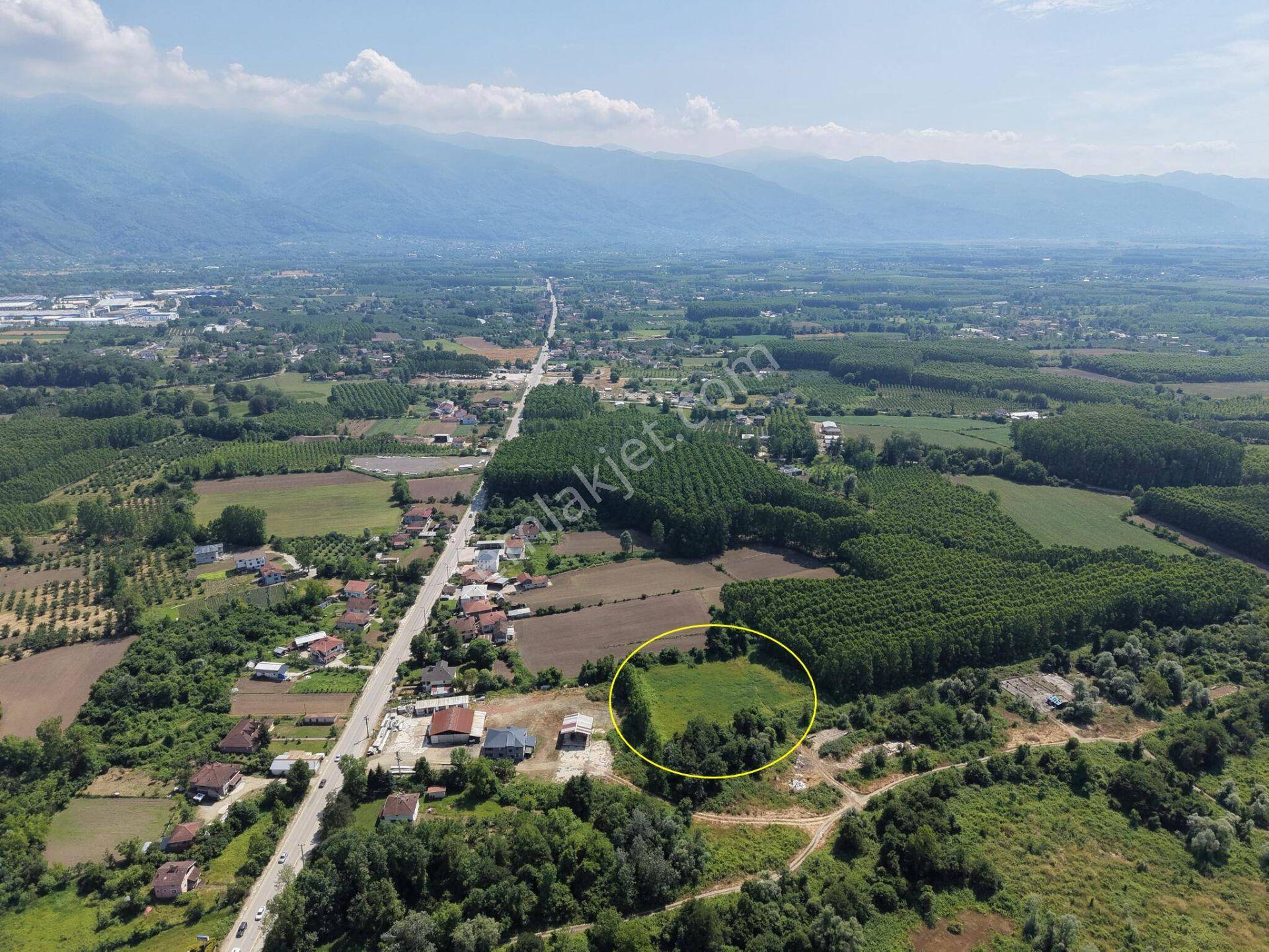 Nv Gayrimenkul | Küçük Mehmetler'de 5.857 M2 Satılık Arazi - Görsel 14