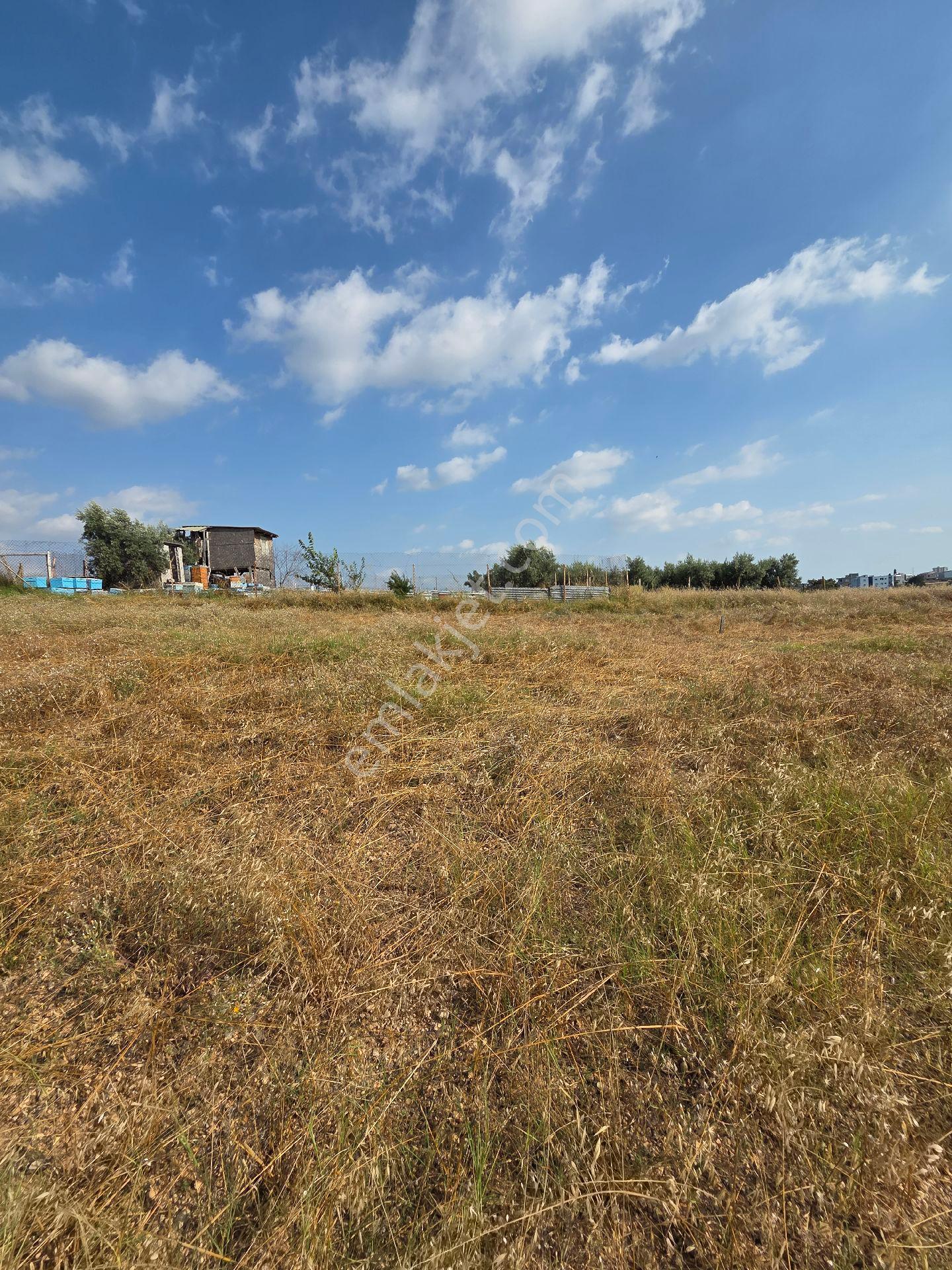 Boynuyoğun'da Villa İmarlı 384m²