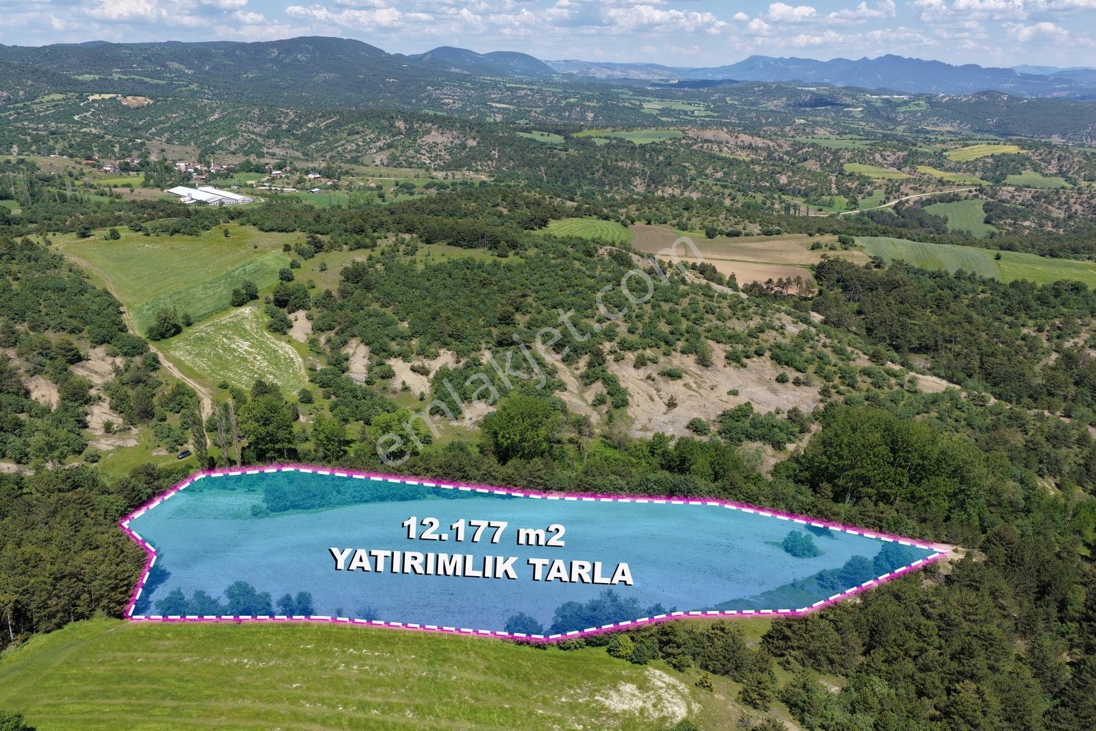 Köye Yakın- 12.177 M2 -ekilir-çok Uygun-yatırımlık Tarım Arazisi - Görsel 2