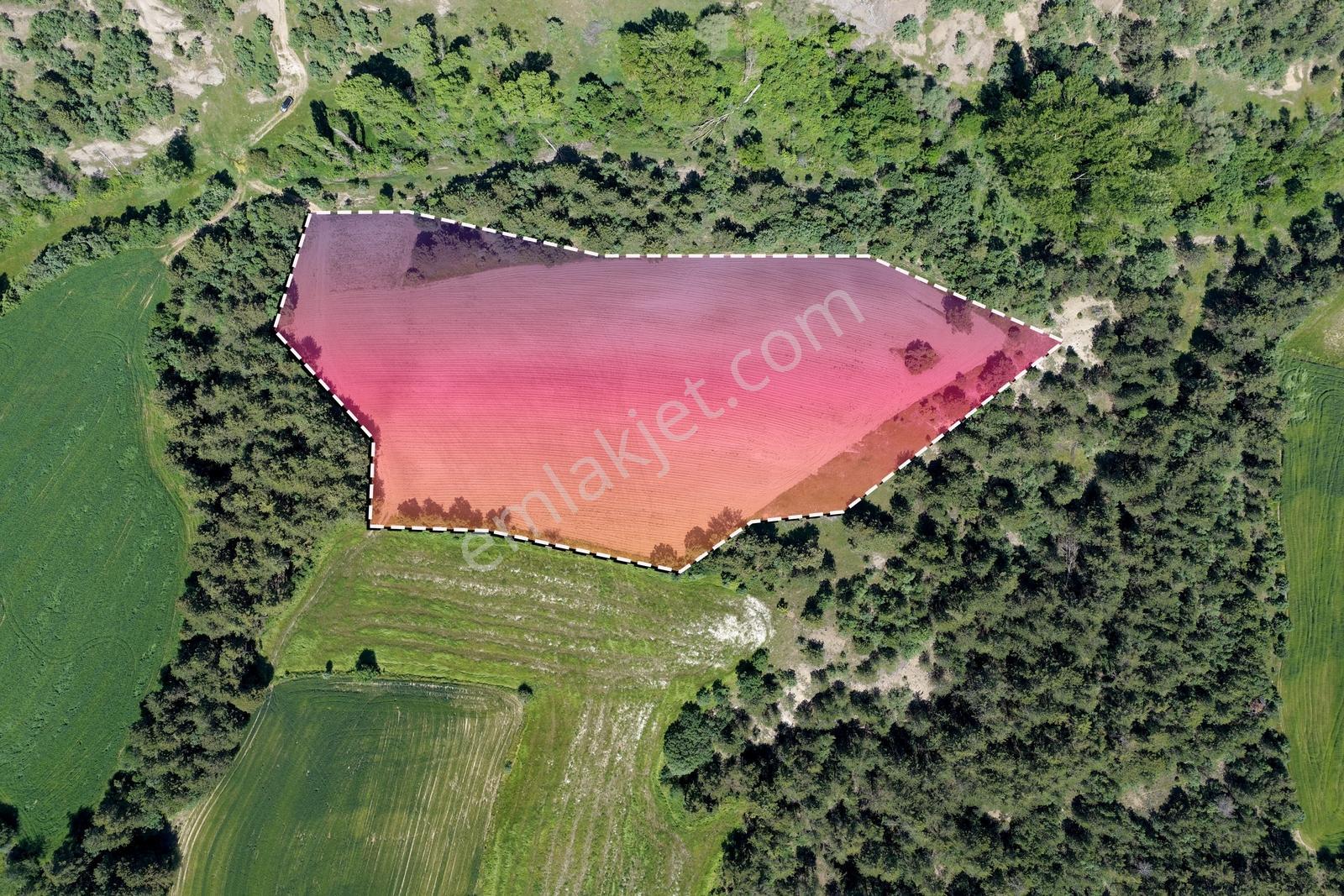 Köye Yakın- 12.177 M2 -ekilir-çok Uygun-yatırımlık Tarım Arazisi - Görsel 11