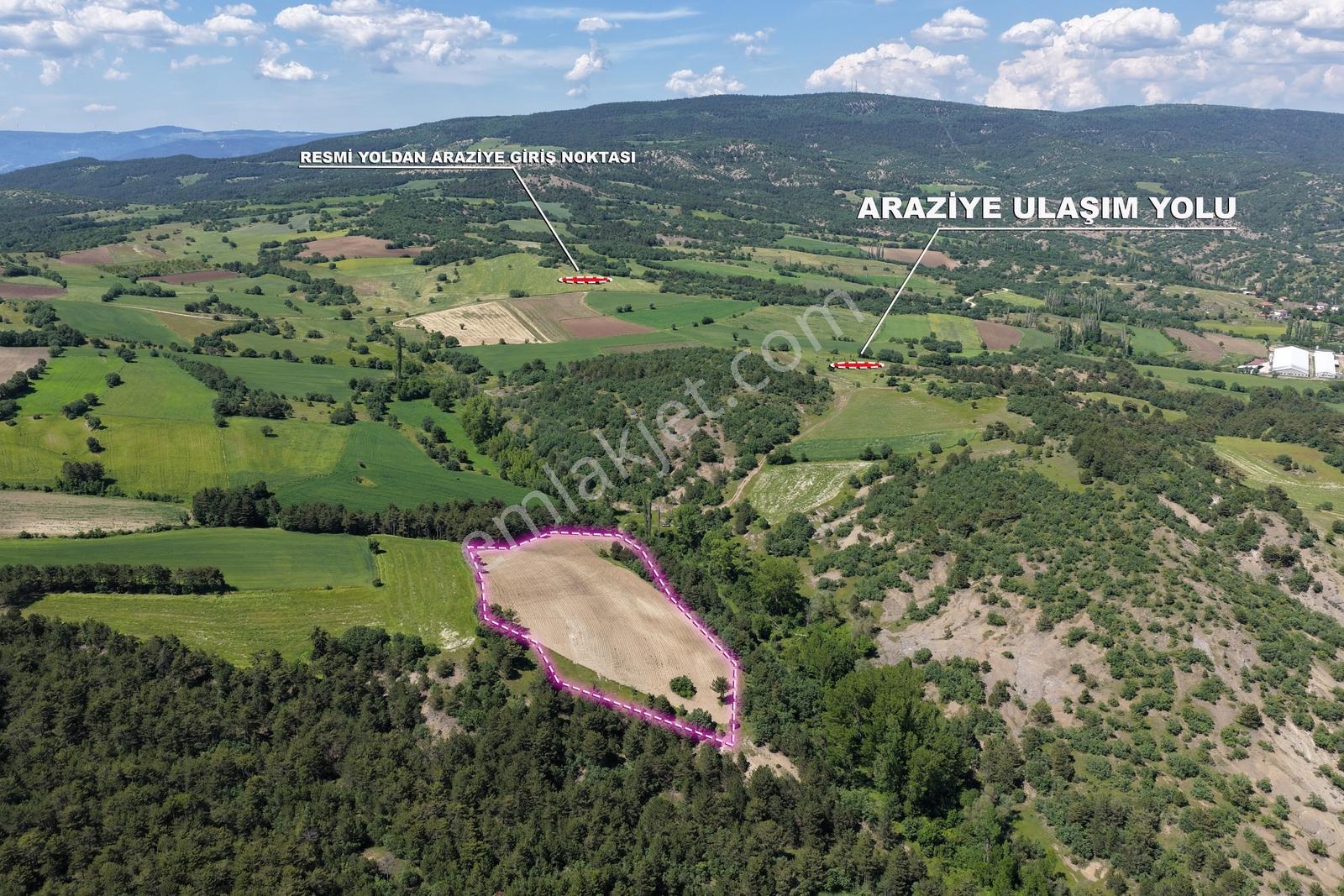 Köye Yakın- 12.177 M2 -ekilir-çok Uygun-yatırımlık Tarım Arazisi - Görsel 3