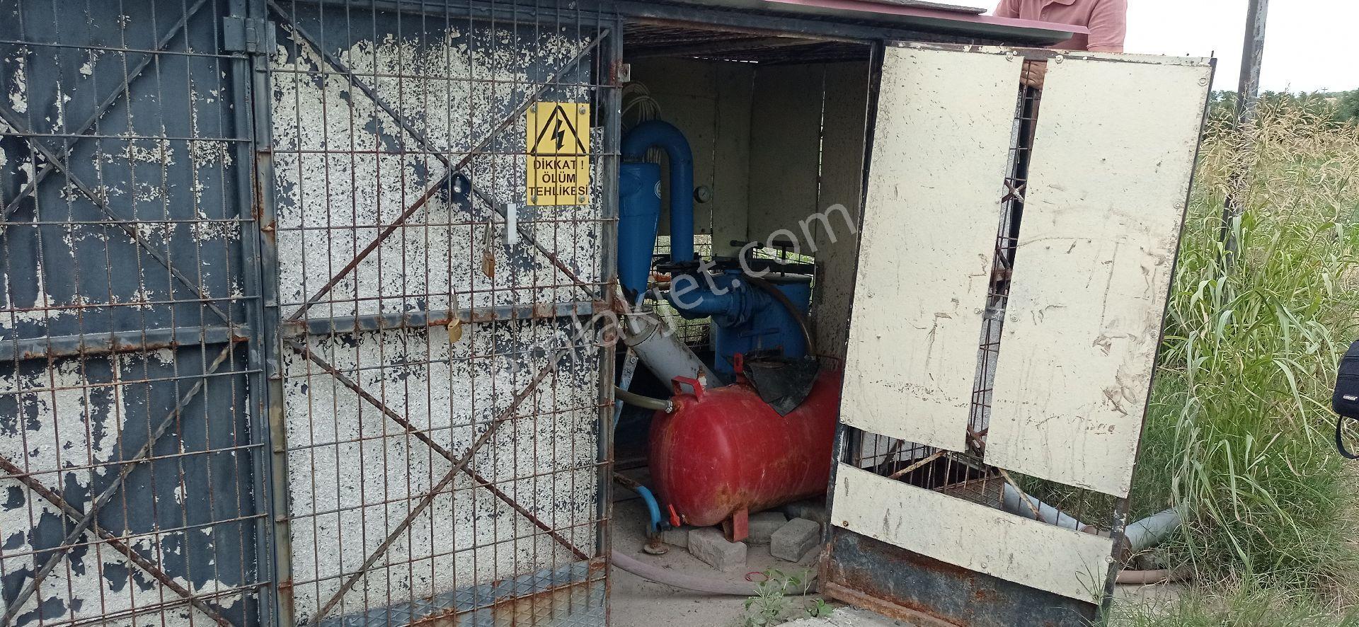 Mütevelli Mah Satılık Üzüm Bağı - Görsel 33