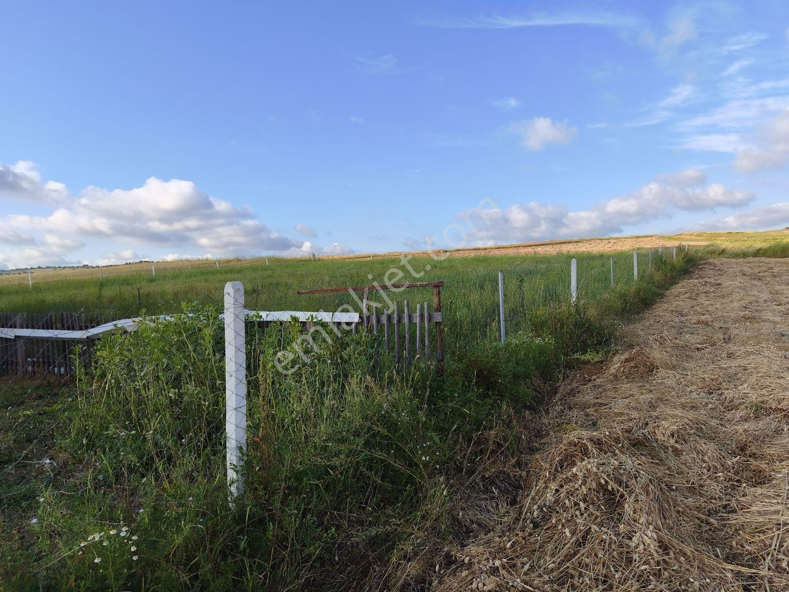 Kandıra Hacışeytte 3.900 M2 Resmi Yol Müstakil Tapu İçnde Ev Var - Görsel 25