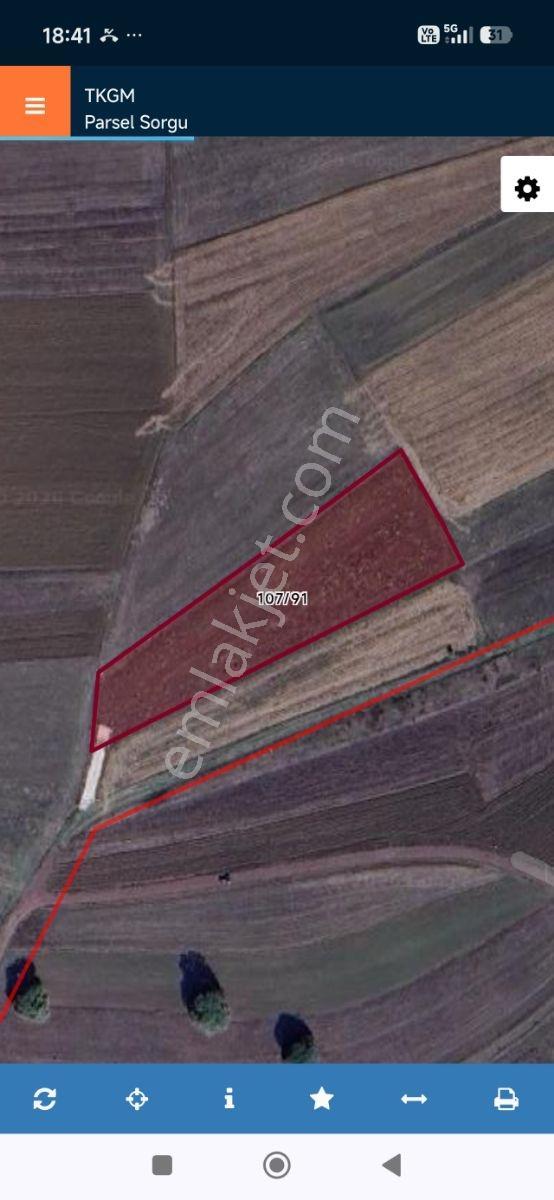 Kandıra Hacışeytte 3.900 M2 Resmi Yol Müstakil Tapu İçnde Ev Var - Görsel 16