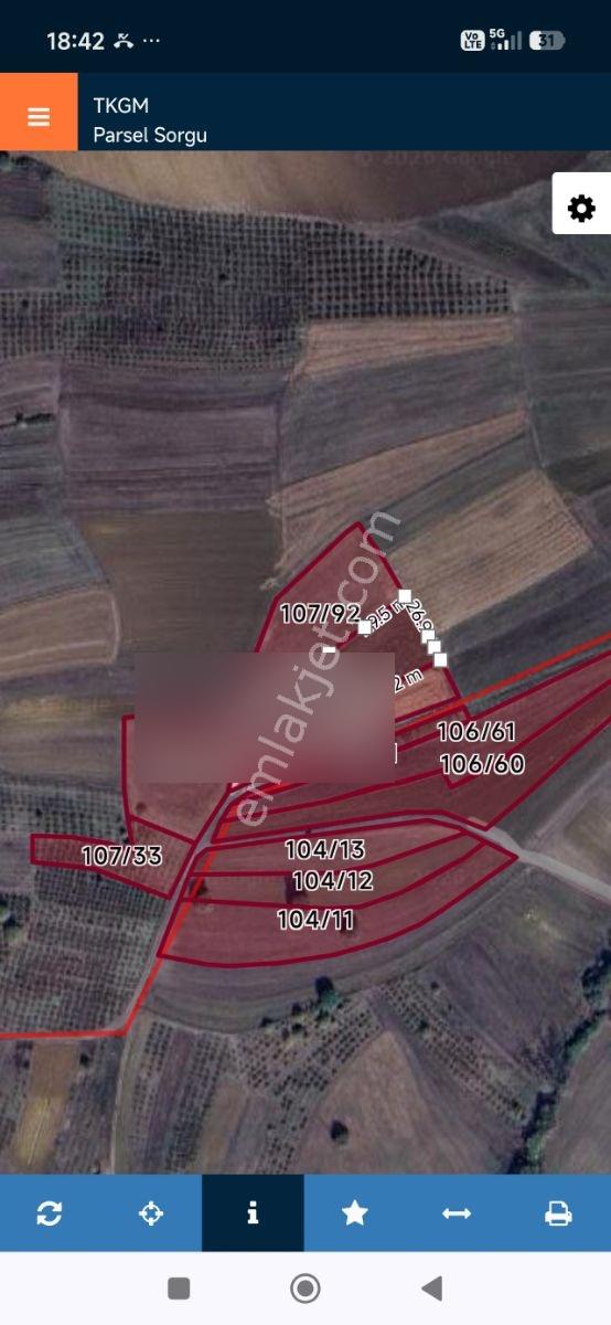 Kandıra Hacışeytte 3.900 M2 Resmi Yol Müstakil Tapu İçnde Ev Var - Görsel 23