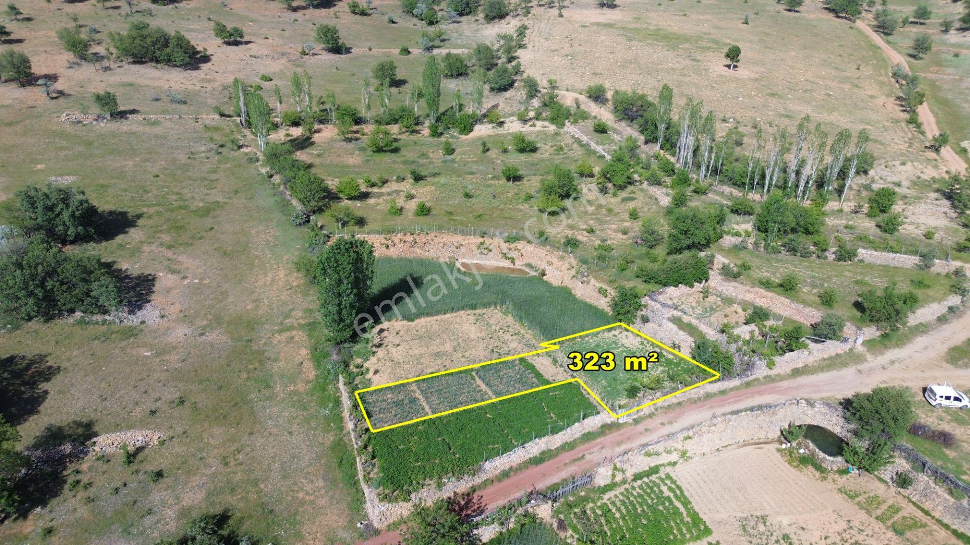 Konya Bozkır Hacılar Mahallesi’nde 323 M² Müstakil Tapulu Bahçe – Doğayla İç İçe Yatırım Fırsatı - Görsel 3