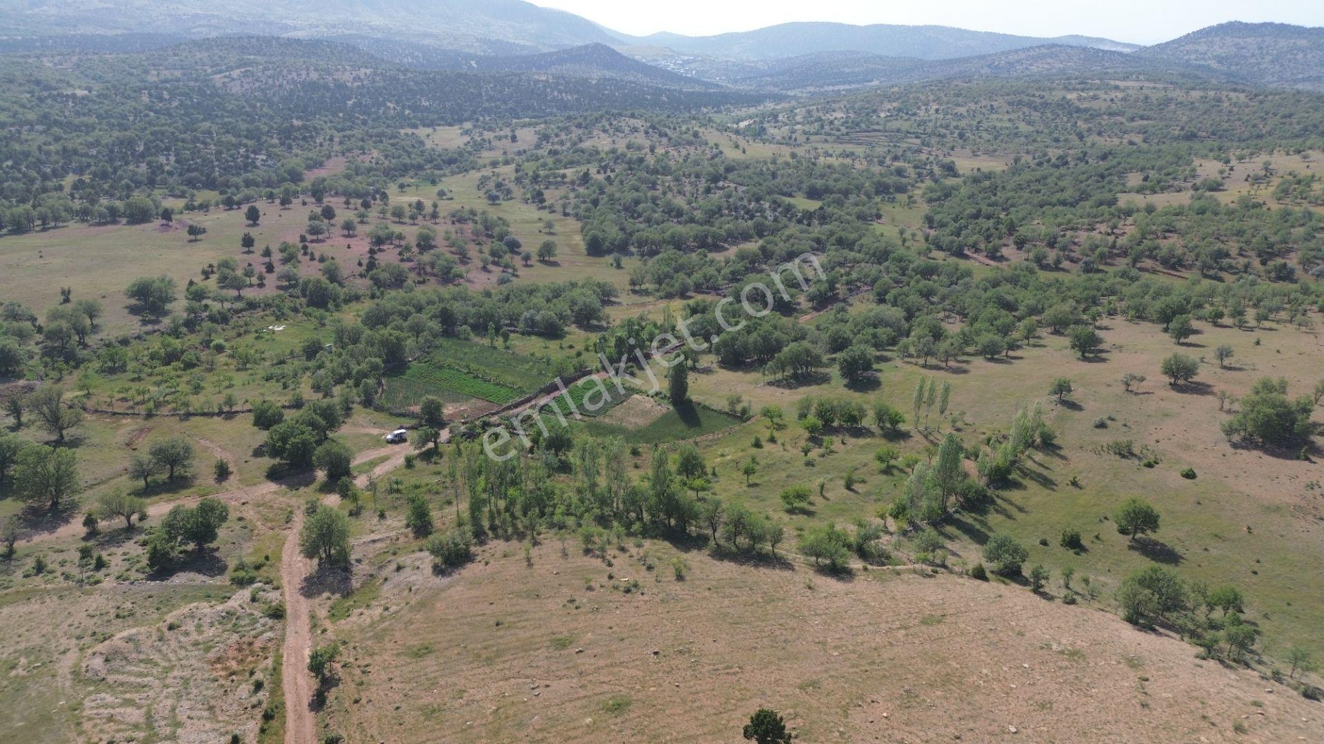 Konya Bozkır Hacılar Mahallesi’nde 323 M² Müstakil Tapulu Bahçe – Doğayla İç İçe Yatırım Fırsatı - Görsel 28