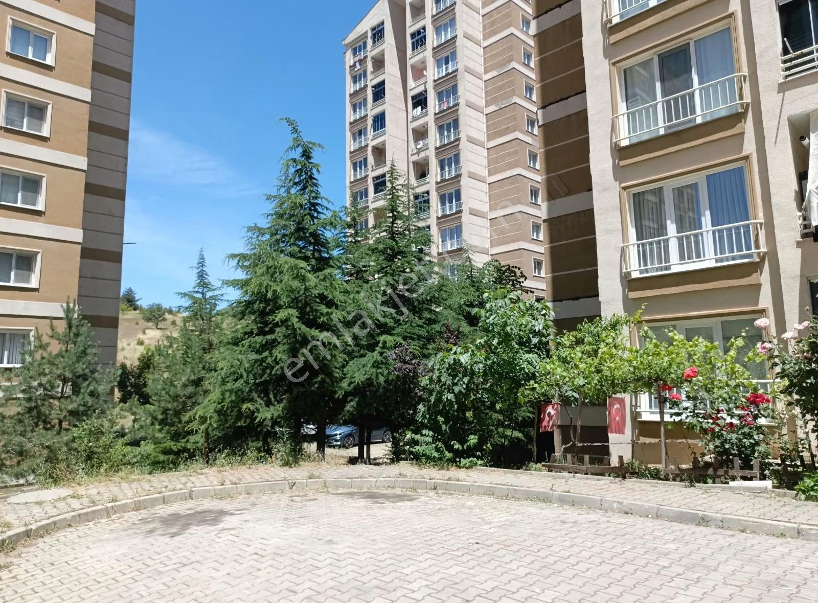 Bu Cepheye Bu Paraya Başka Daire Yok - Görsel 7