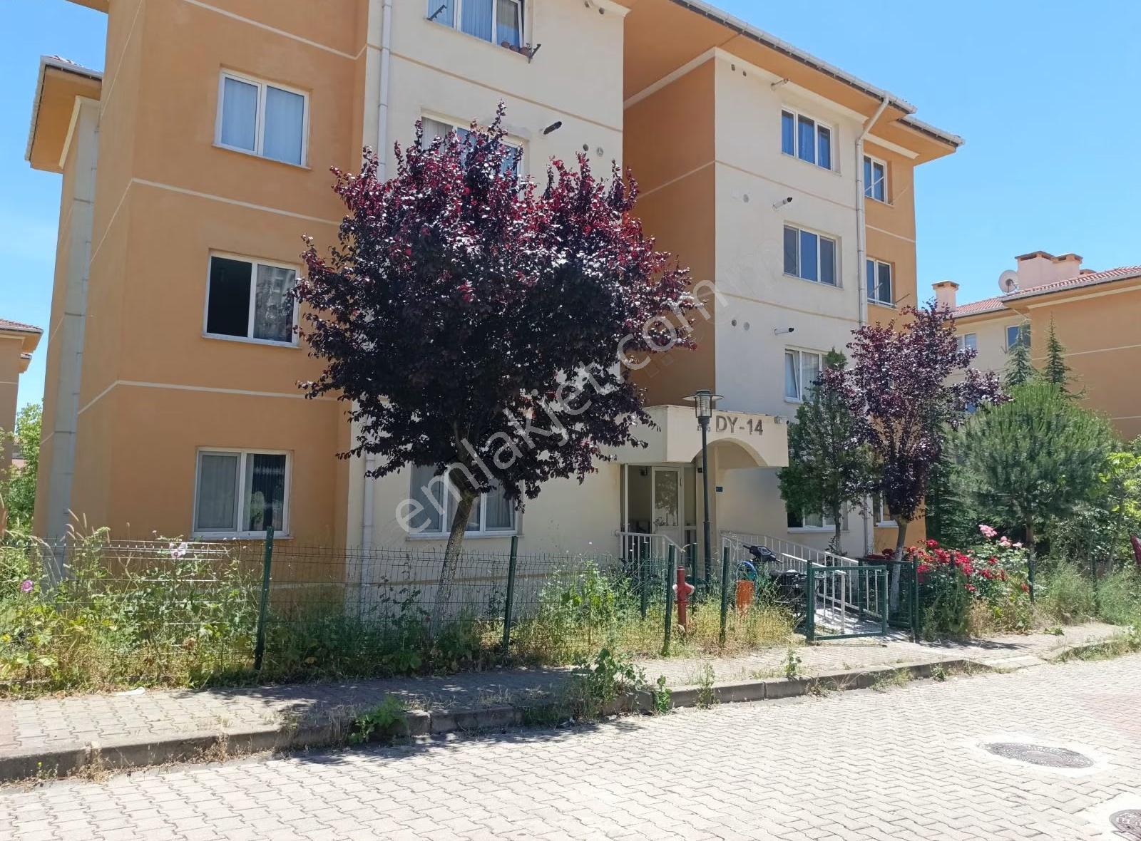 Fırsat Daire