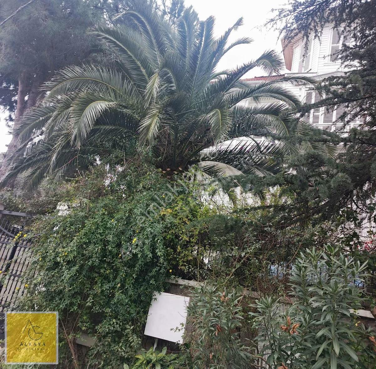 Heybeliada'da Deniz Manzaralı, 3 Katlı Müstakil Villa