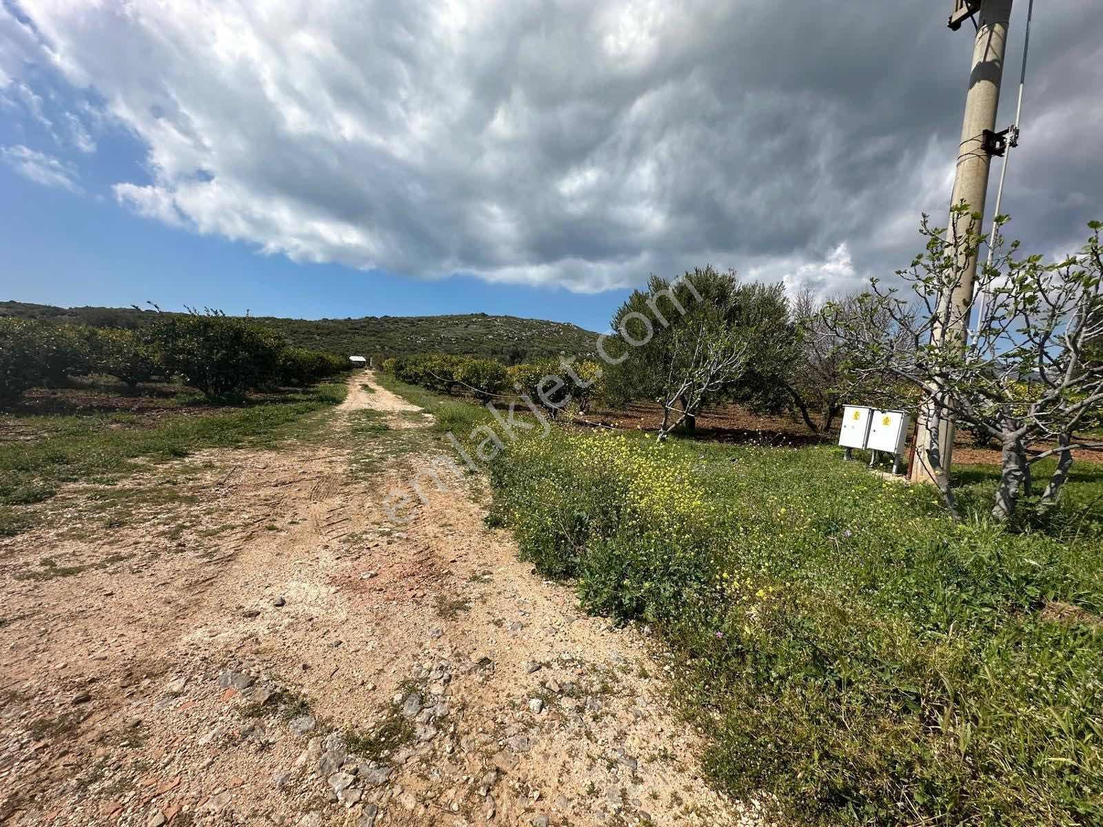 Çeşme Ildırda Satılık Tarla