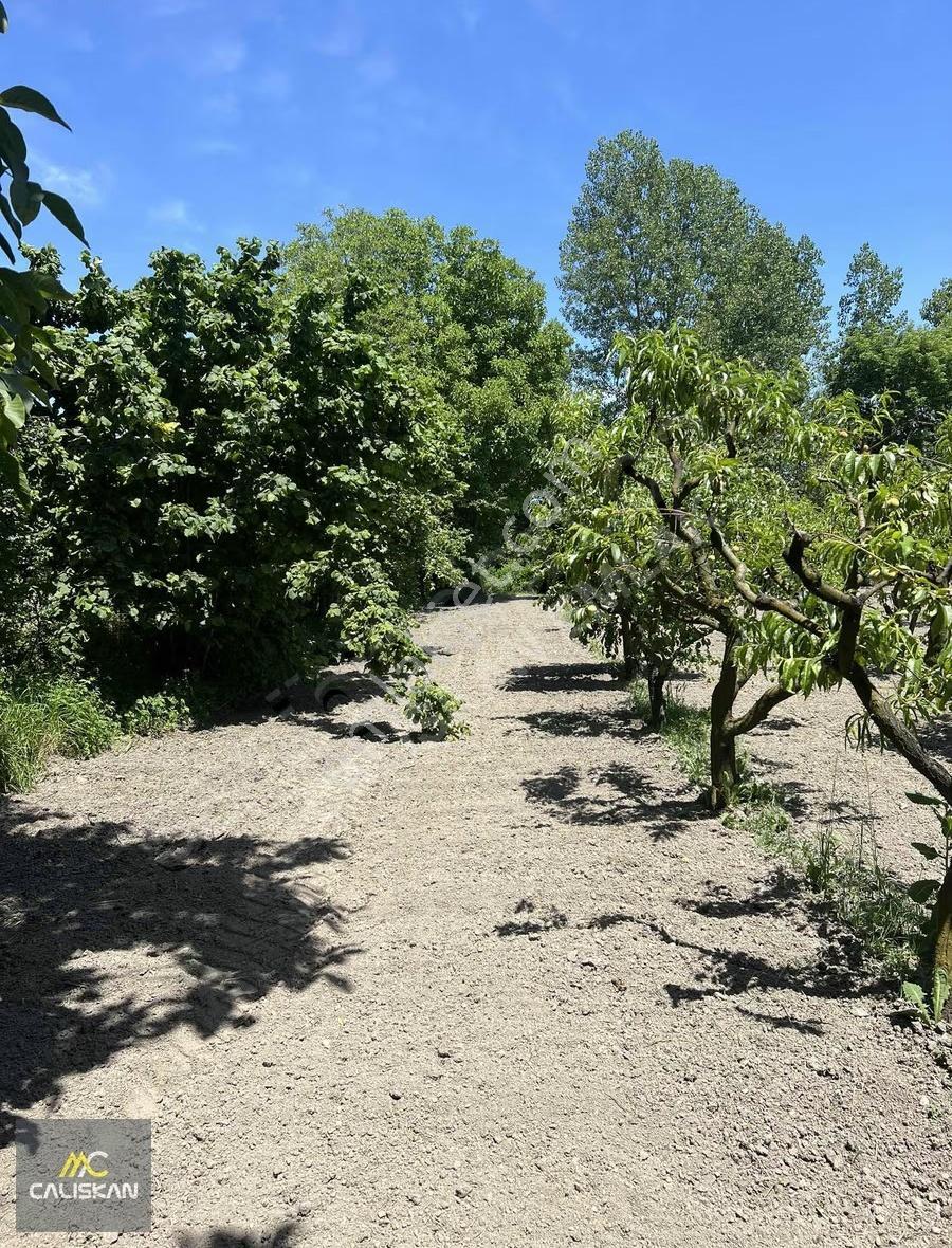 Emirseyit'te Kanal Altında Satılık Tek Tapu 1425 M2 Bahçe - Görsel 6