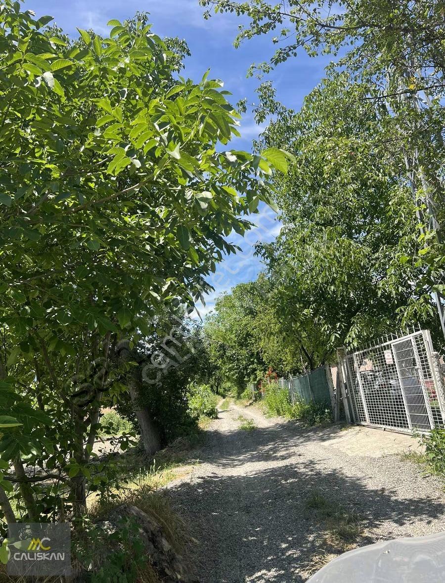 Emirseyit'te Kanal Altında Satılık Tek Tapu 1425 M2 Bahçe - Görsel 3