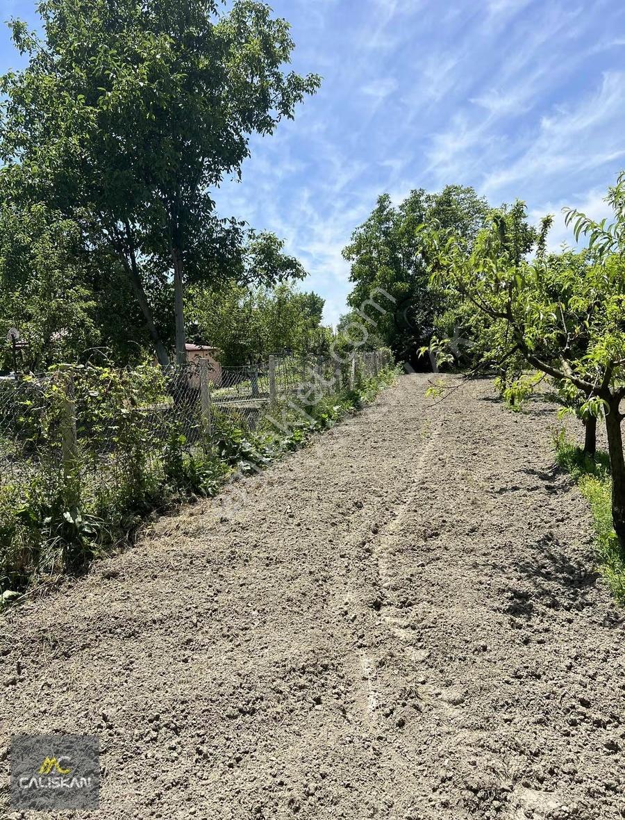 Emirseyit'te Kanal Altında Satılık Tek Tapu 1425 M2 Bahçe - Görsel 16