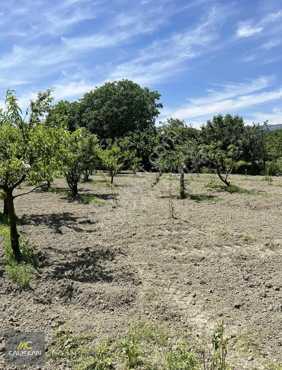 Emirseyit'te Kanal Altında Satılık Tek Tapu 1425 M2 Bahçe - Görsel 5