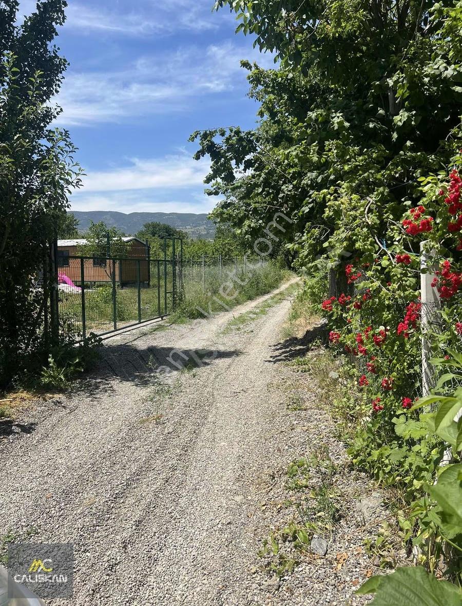 Emirseyit'te Kanal Altında Satılık Tek Tapu 1425 M2 Bahçe - Görsel 13