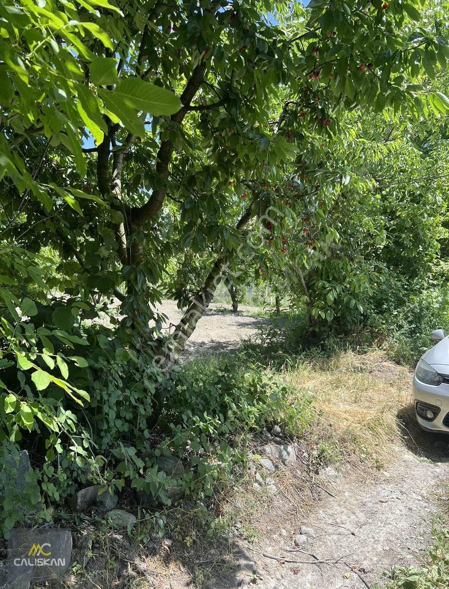 Emirseyit'te Kanal Altında Satılık Tek Tapu 1425 M2 Bahçe - Görsel 23