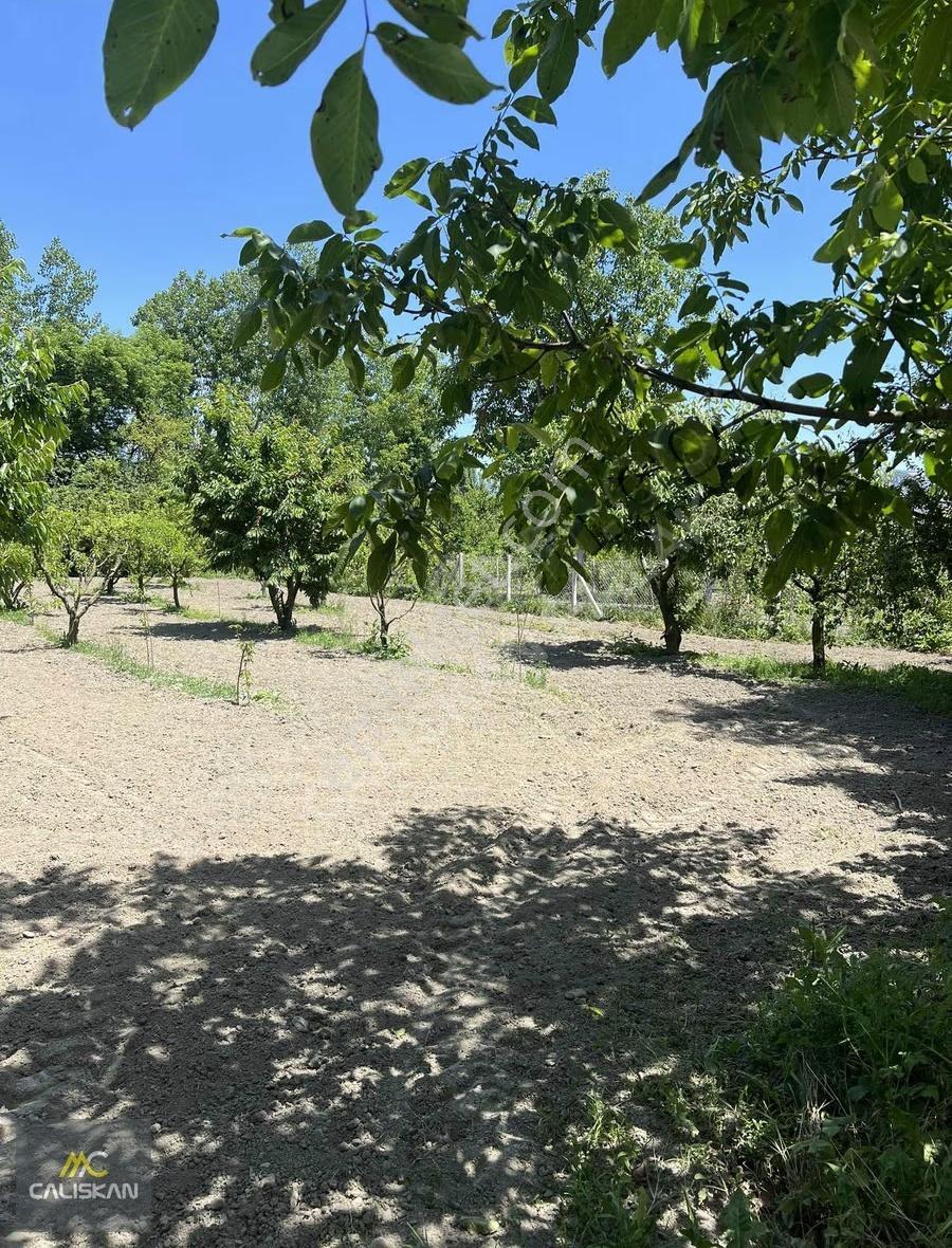 Emirseyit'te Kanal Altında Satılık Tek Tapu 1425 M2 Bahçe - Görsel 19