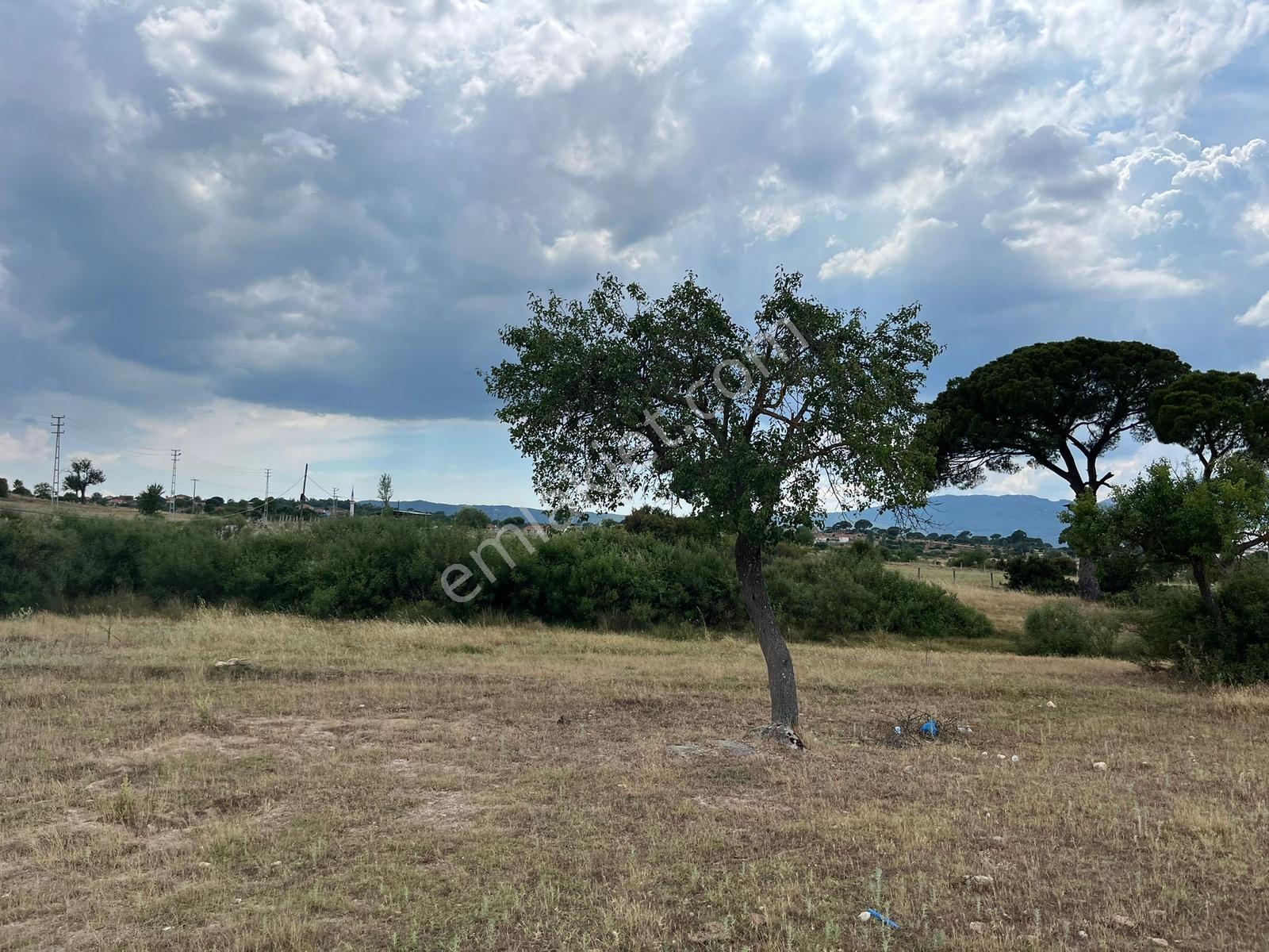 Ege'nin Saklı Köşesi | Milas/akkovanlık |2 Yol Cepheli | 1.281 M - Görsel 23