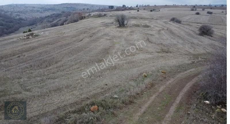 Bilecik Bozöğükte Kadastrol Yollu Göl Manzaralı 5320 M Arazi - Görsel 8