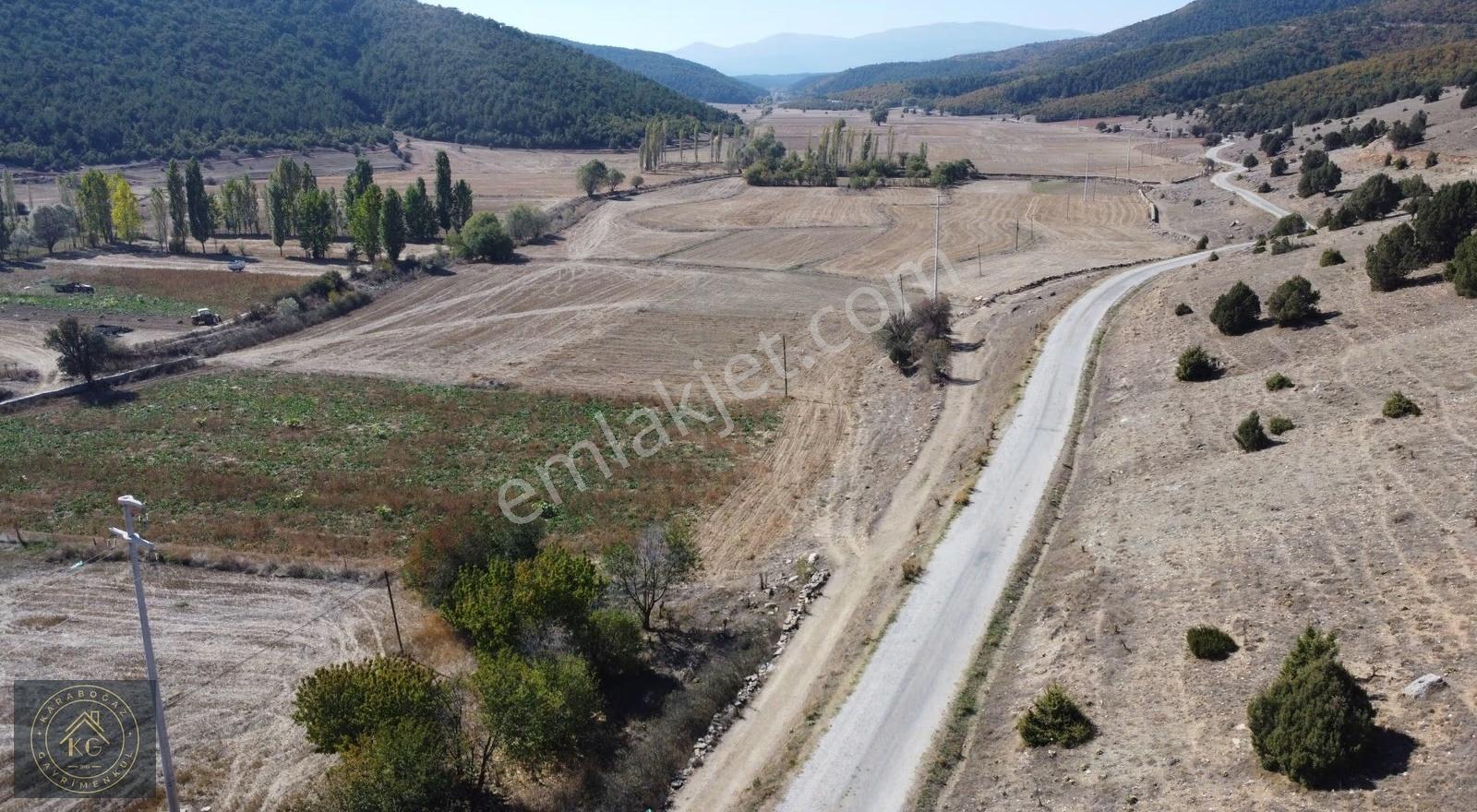 Tavşanlı Kargılıda Kadastrol Cepheli 3328 M Arazi - Görsel 22