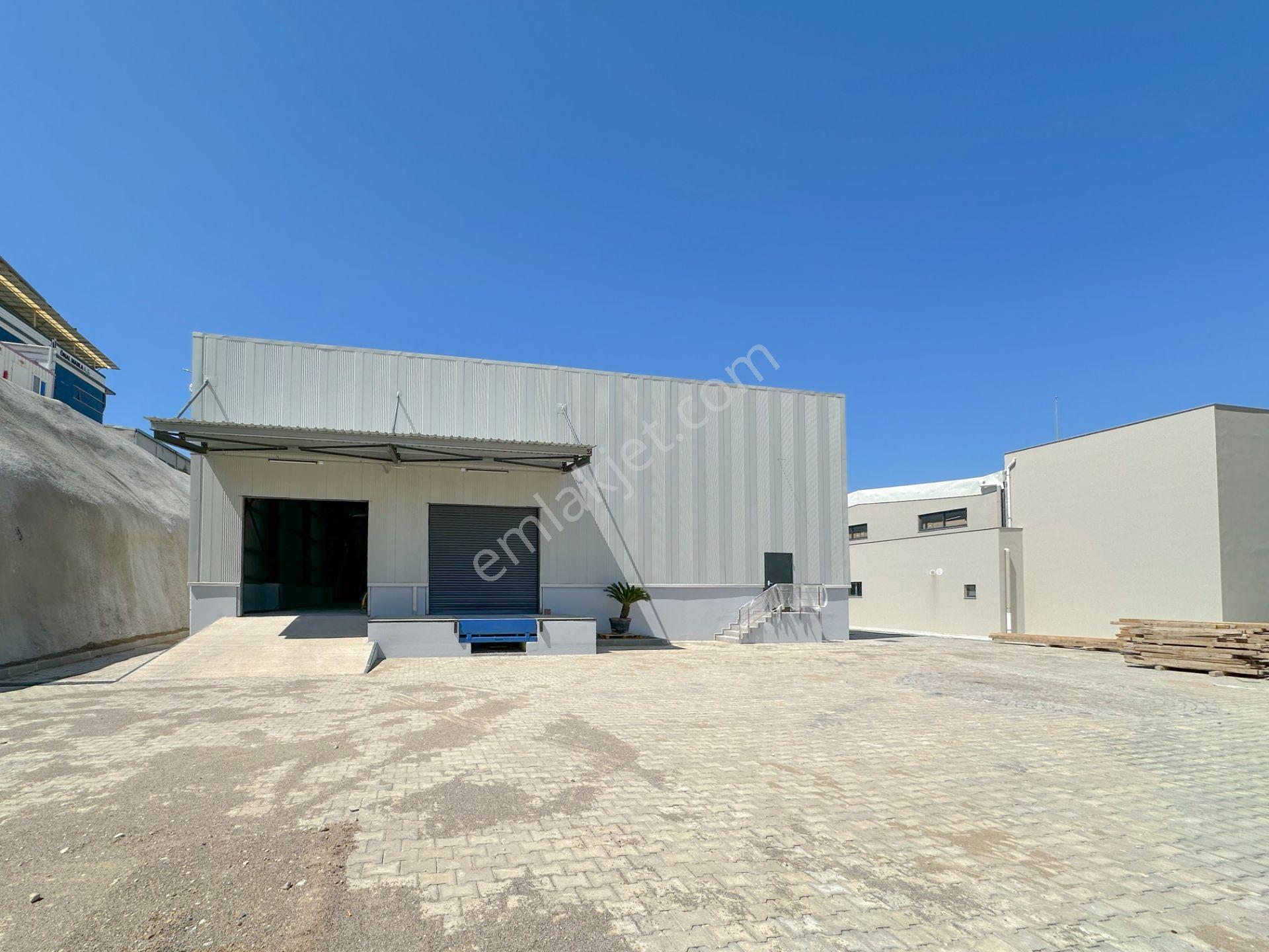 Buca Begos Osb 7 Metre Yükseklik Müstakil Fabrika - Depo