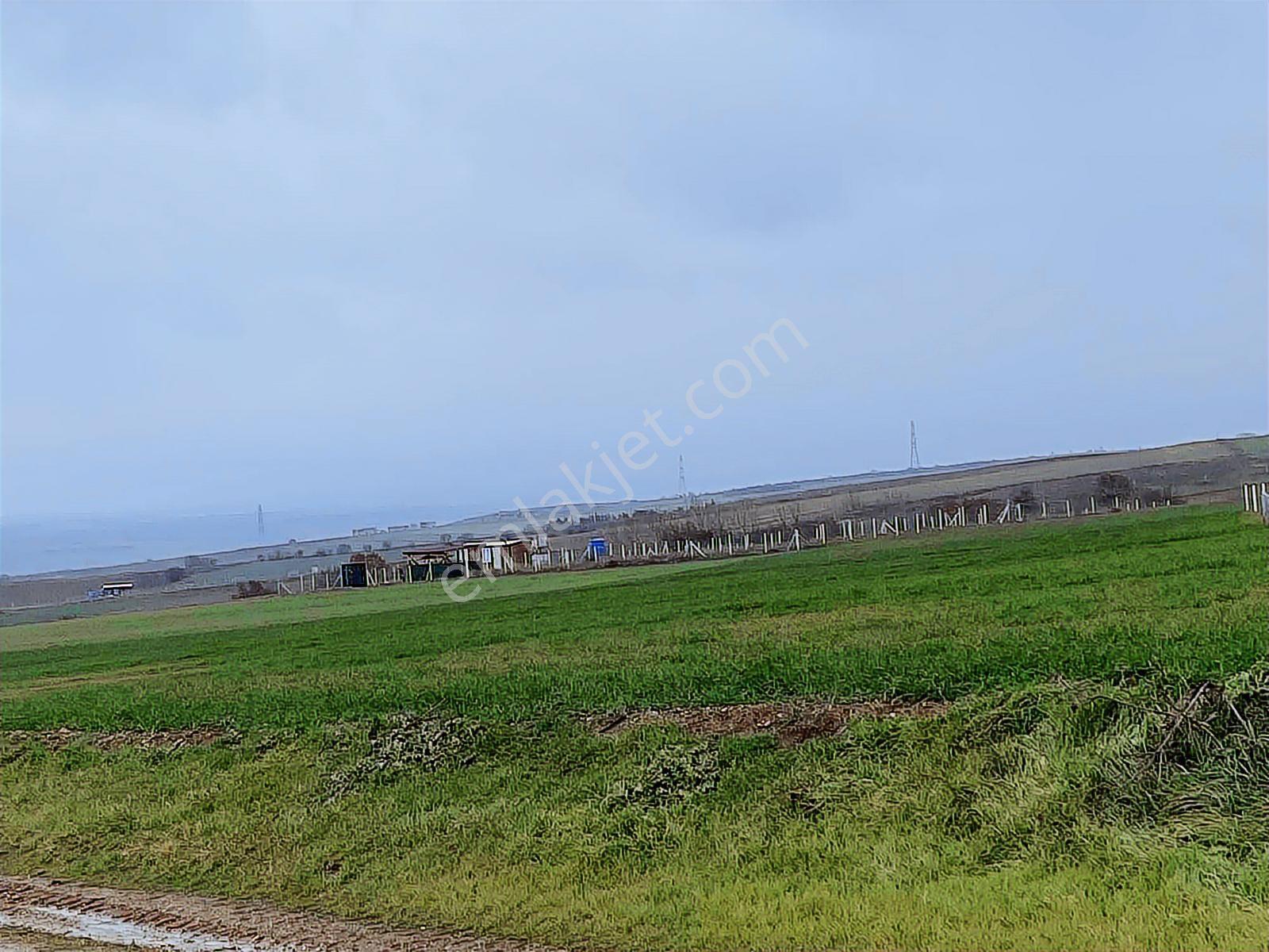 Istanbul Silivri Değirmenköy Satılık Arsa - Görsel 8