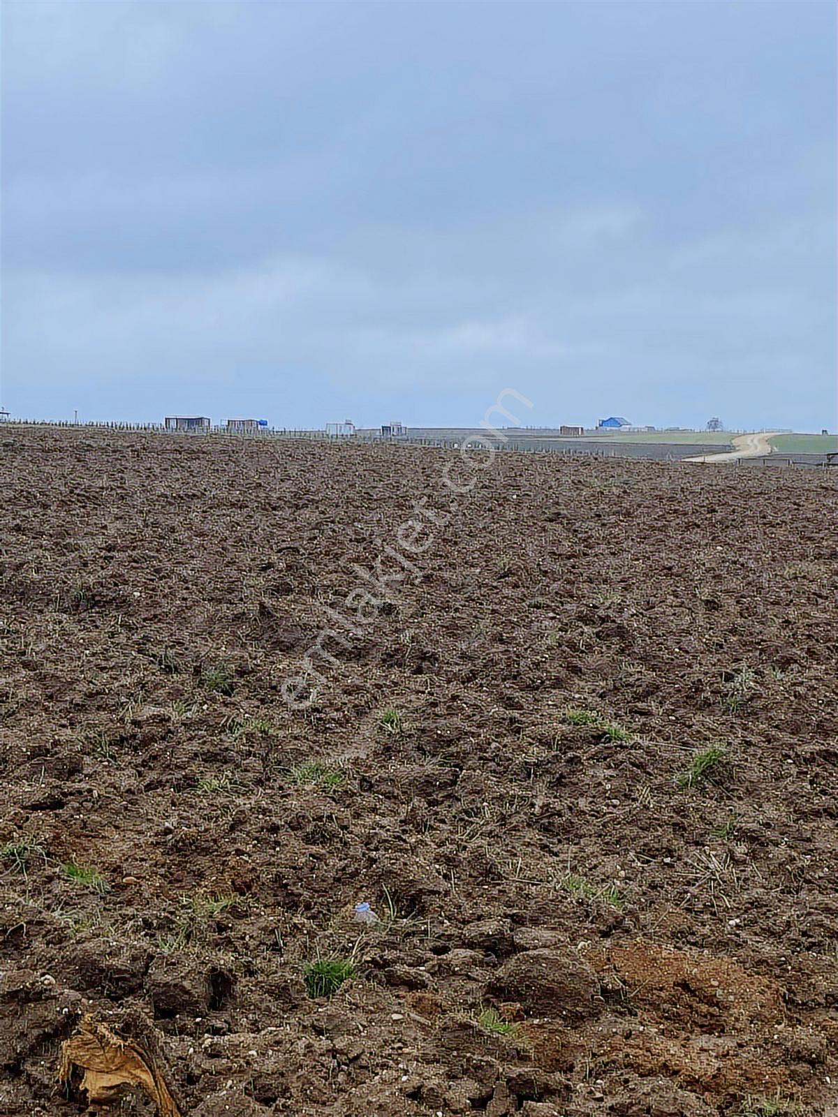 Istanbul Silivri Değirmenköy Satılık Arsa - Görsel 34