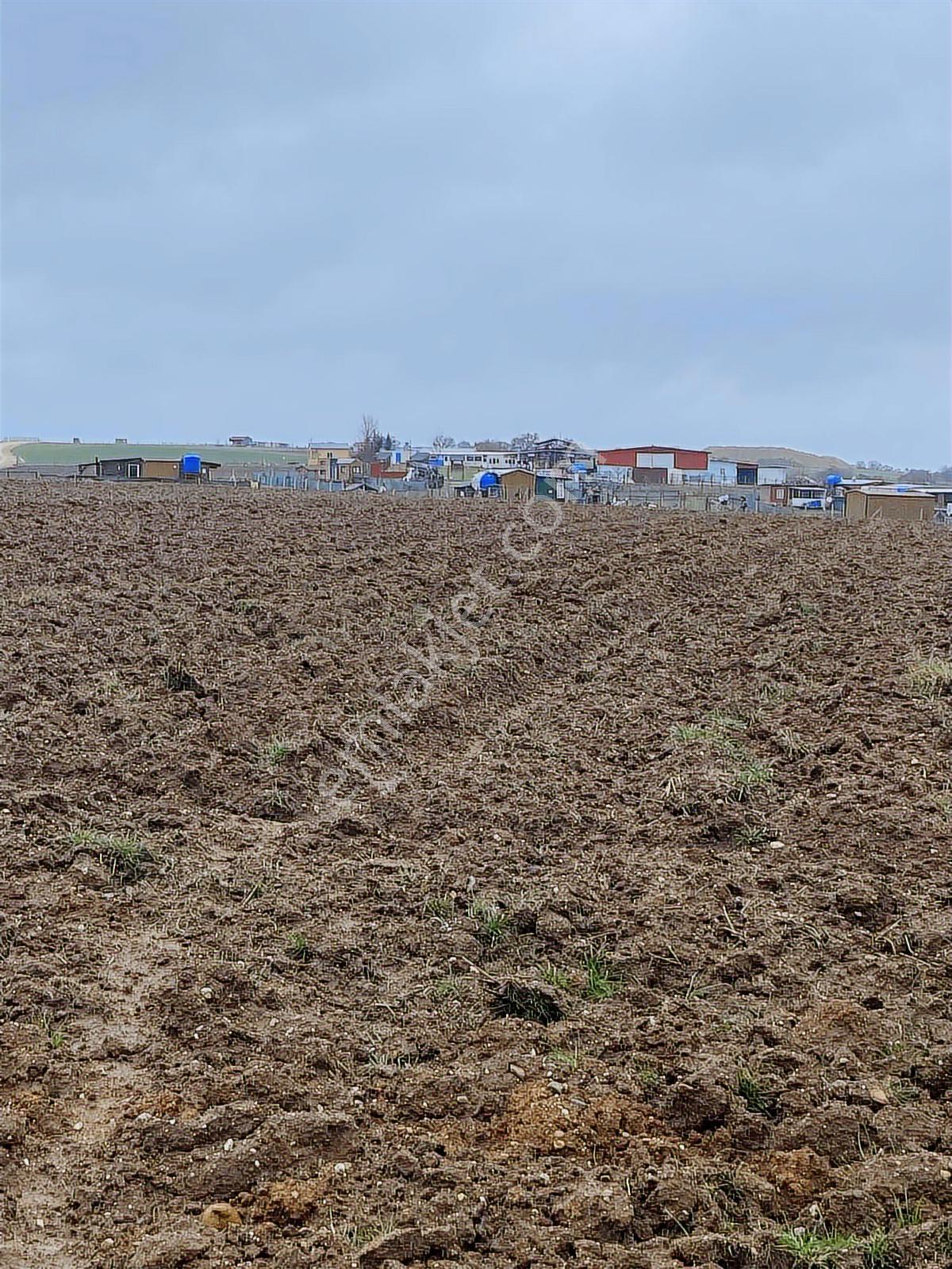 Istanbul Silivri Değirmenköy Satılık Arsa - Görsel 4