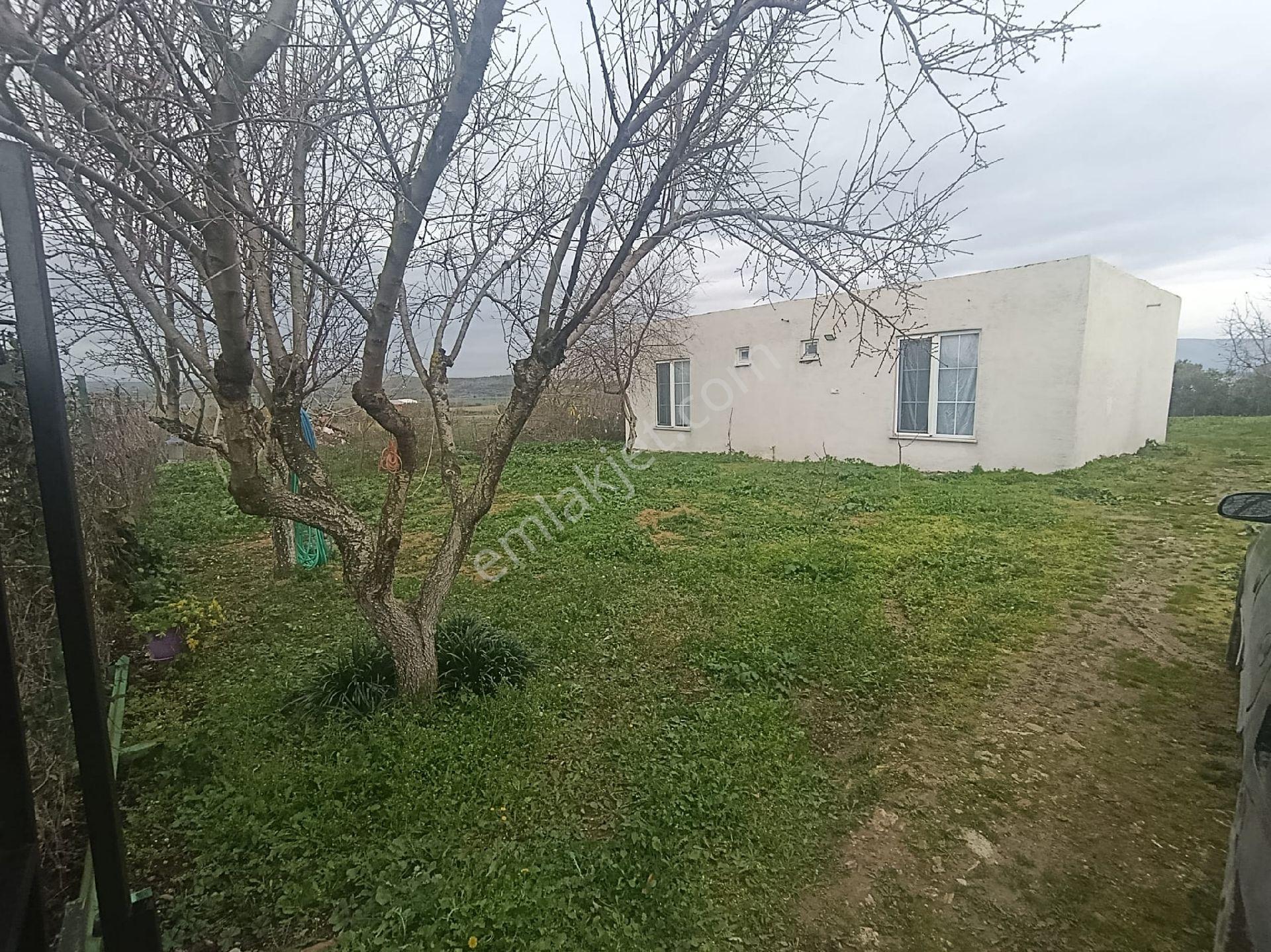 Eskikaraağaç Leylek Köyde Hobi Bahçesi Ve Ev