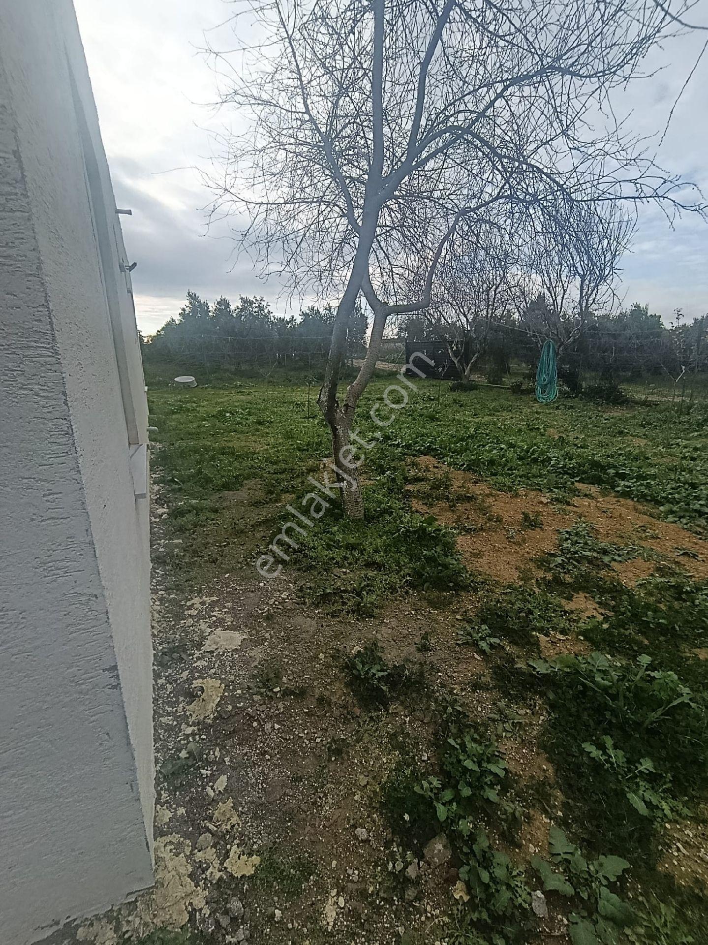 Eskikaraağaç Leylek Köyde Hobi Bahçesi Ve Ev - Görsel 10