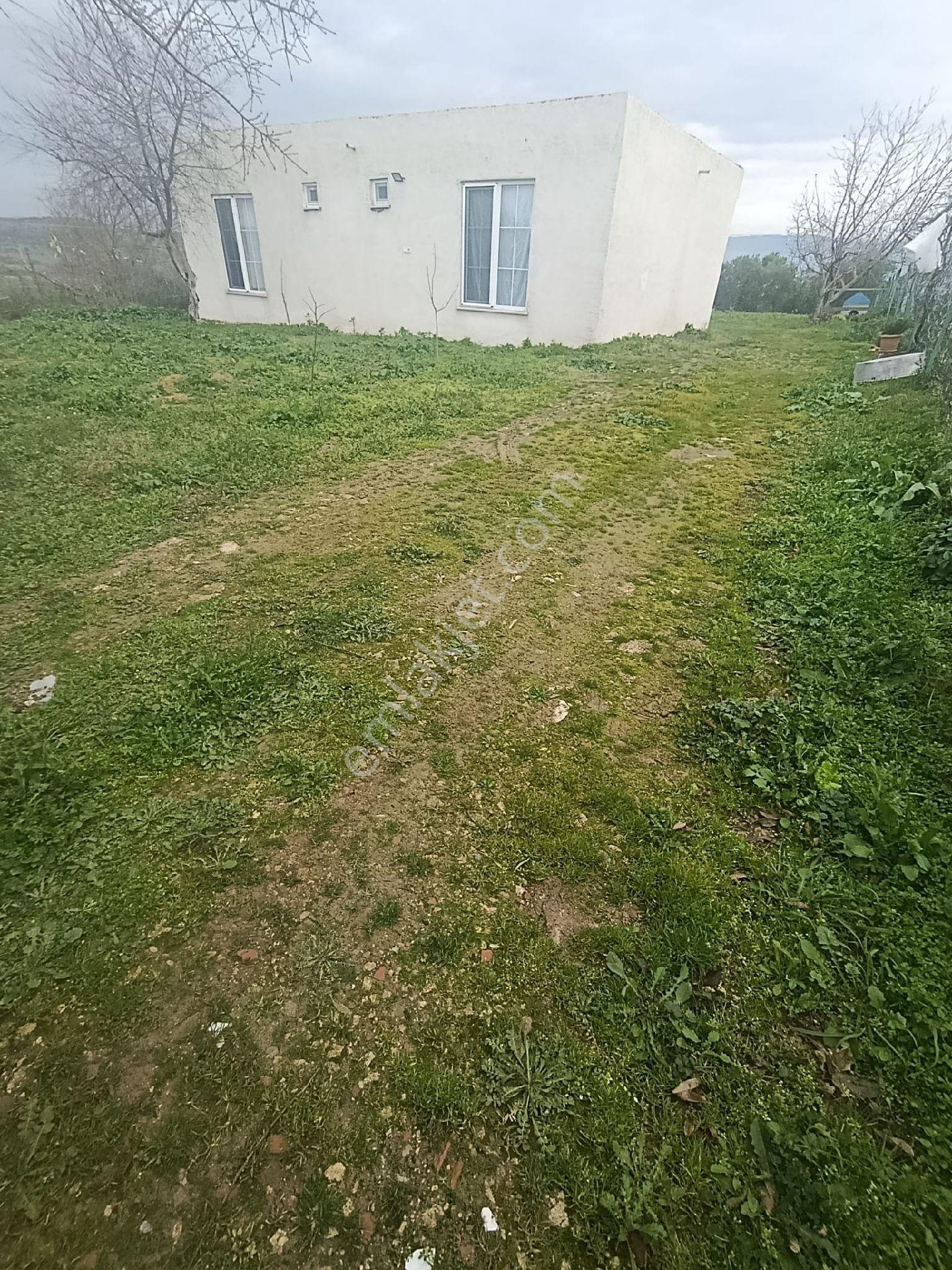 Eskikaraağaç Leylek Köyde Hobi Bahçesi Ve Ev - Görsel 3