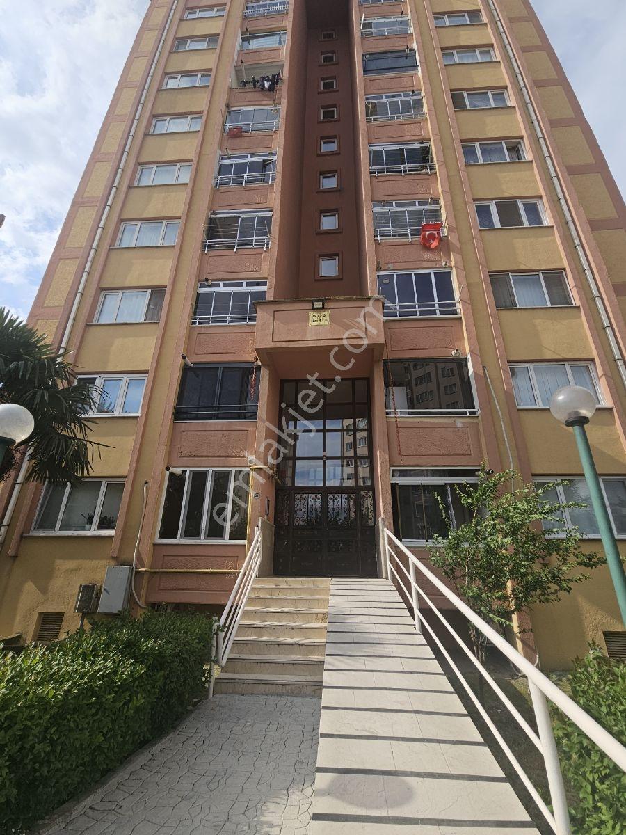 Kayalardan Tokide 2+1 Manzaralı Full Yenilenmiş Temiz Daire - Görsel 19