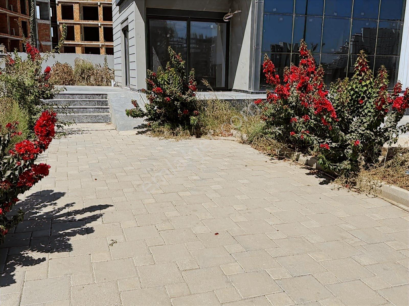 Altıntaş Kapalı Otopark Lı 1+1 Daire - Görsel 12