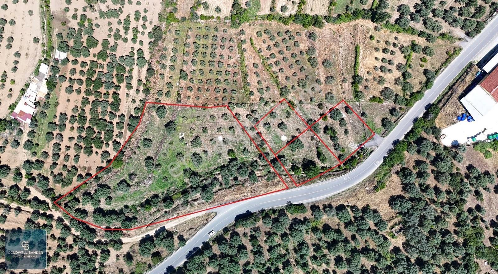 Karacasu Yenice Mahallesinde 6.770 M2 Satılık Arsa - Görsel 24