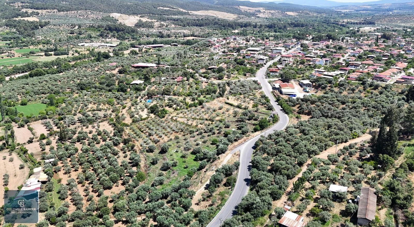 Karacasu Yenice Mahallesinde 6.770 M2 Satılık Arsa - Görsel 5