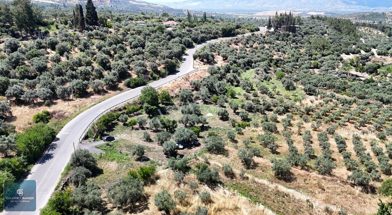 Karacasu Yenice Mahallesinde 6.770 M2 Satılık Arsa - Görsel 11