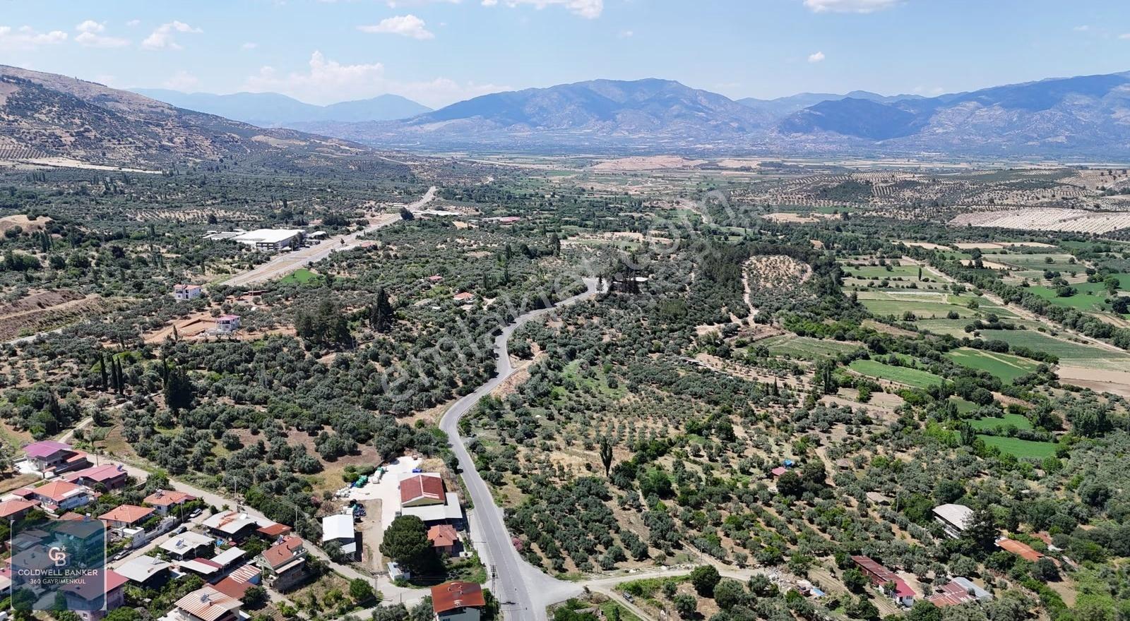 Karacasu Yenice Mahallesinde 6.770 M2 Satılık Arsa - Görsel 2
