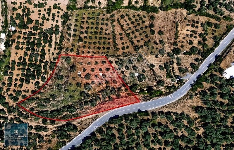 Karacasu Yenice Mahallesinde 6.770 M2 Satılık Arsa - Görsel 25