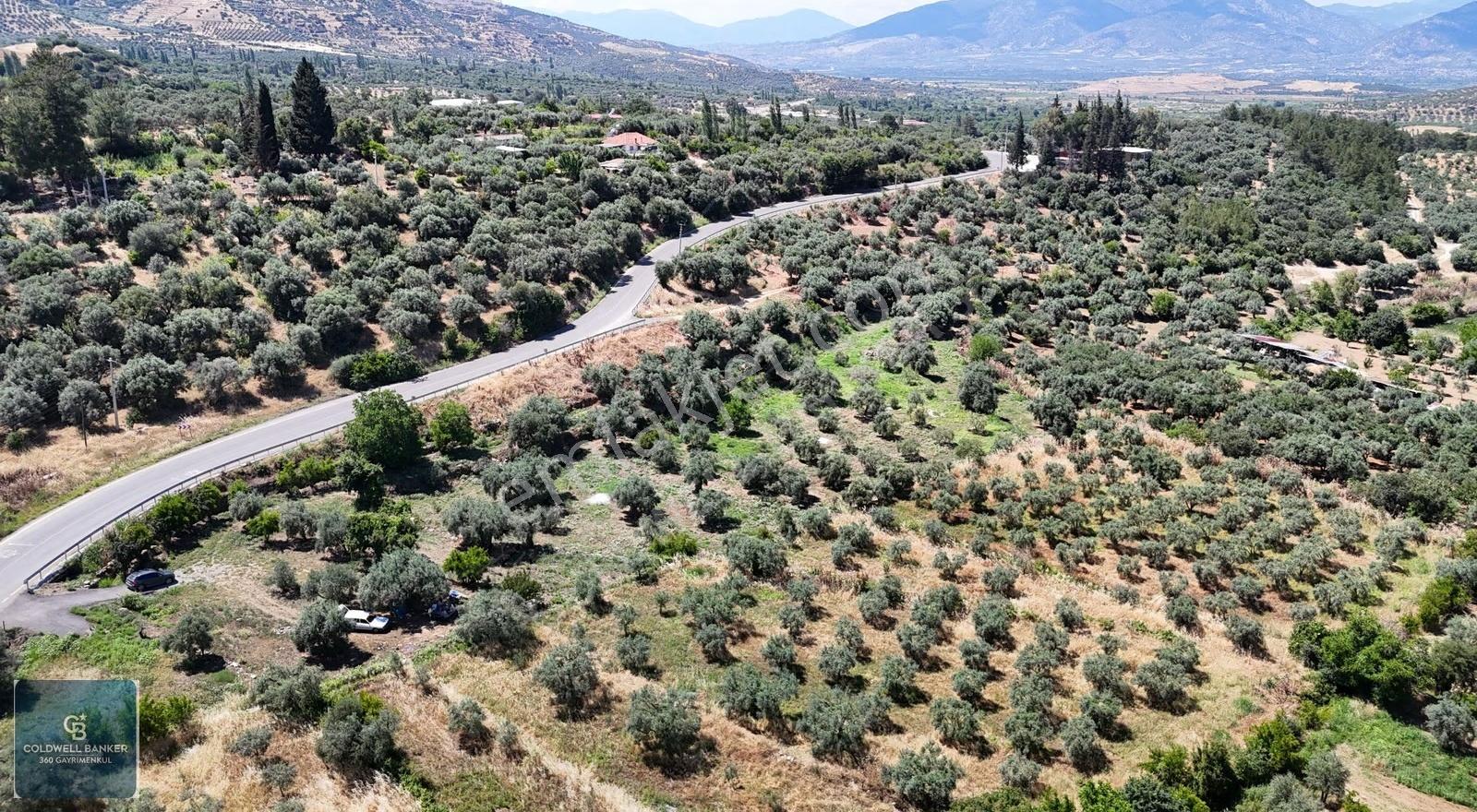 Karacasu Yenice Mahallesinde 6.770 M2 Satılık Arsa - Görsel 29