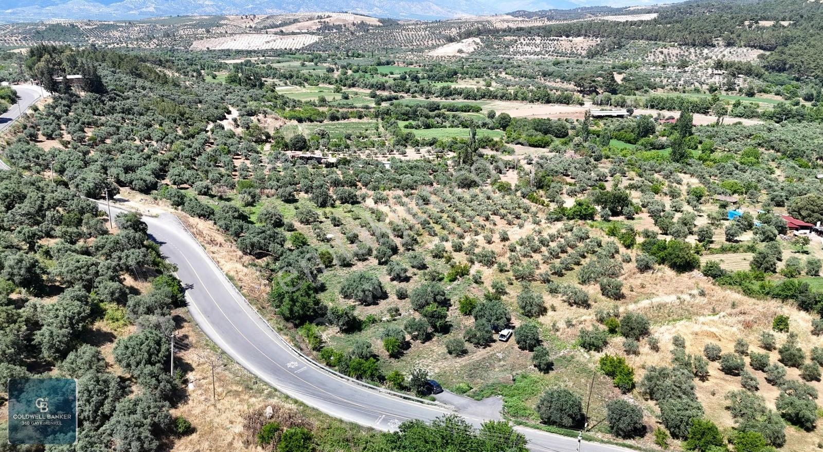 Karacasu Yenice Mahallesinde 6.770 M2 Satılık Arsa - Görsel 7