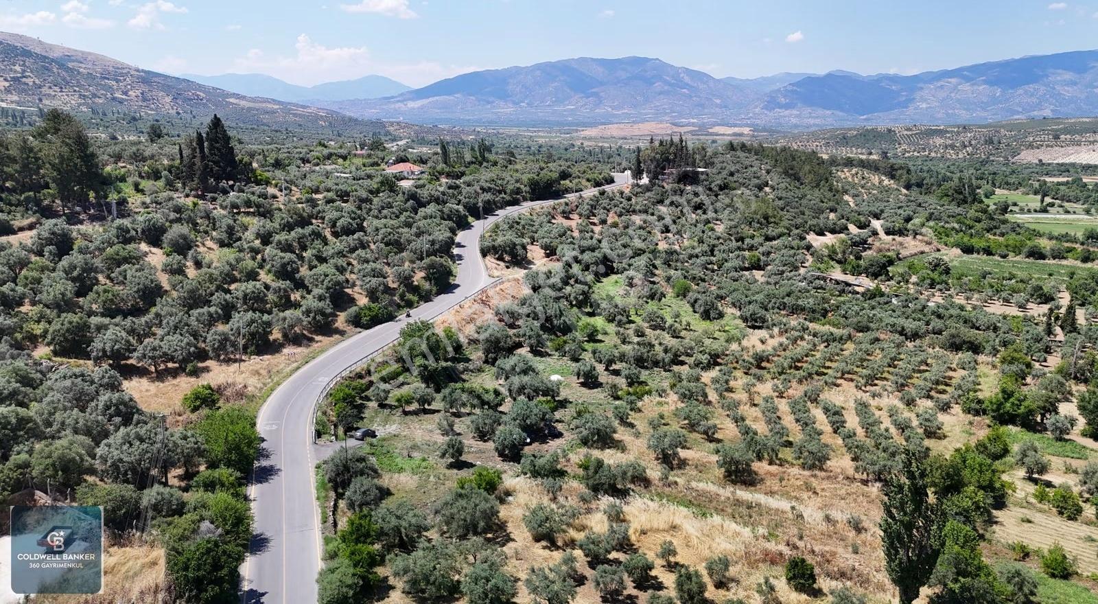Karacasu Yenice Mahallesinde 6.770 M2 Satılık Arsa - Görsel 20
